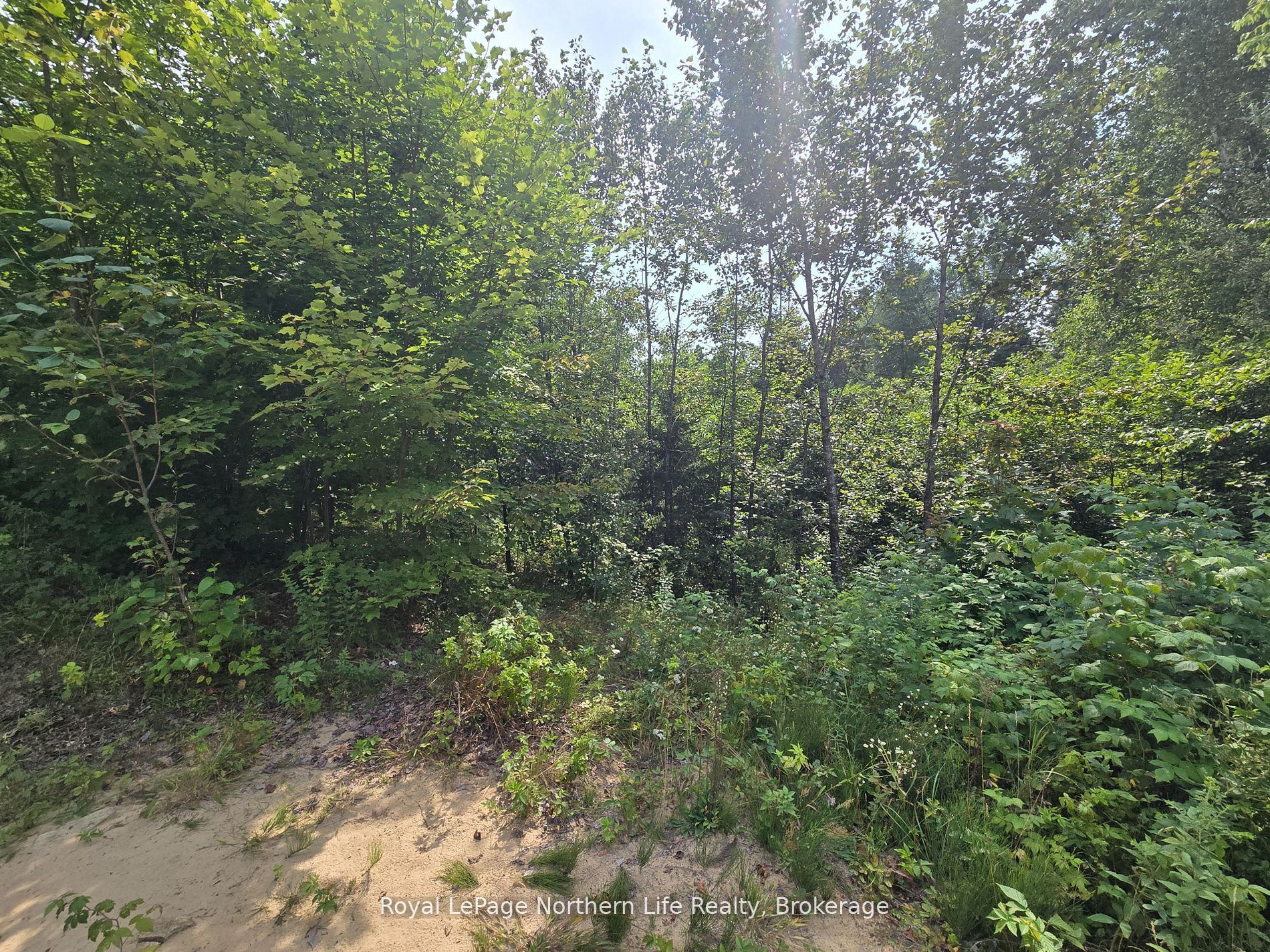 680 Mount Pleasant Road Property Photo 28