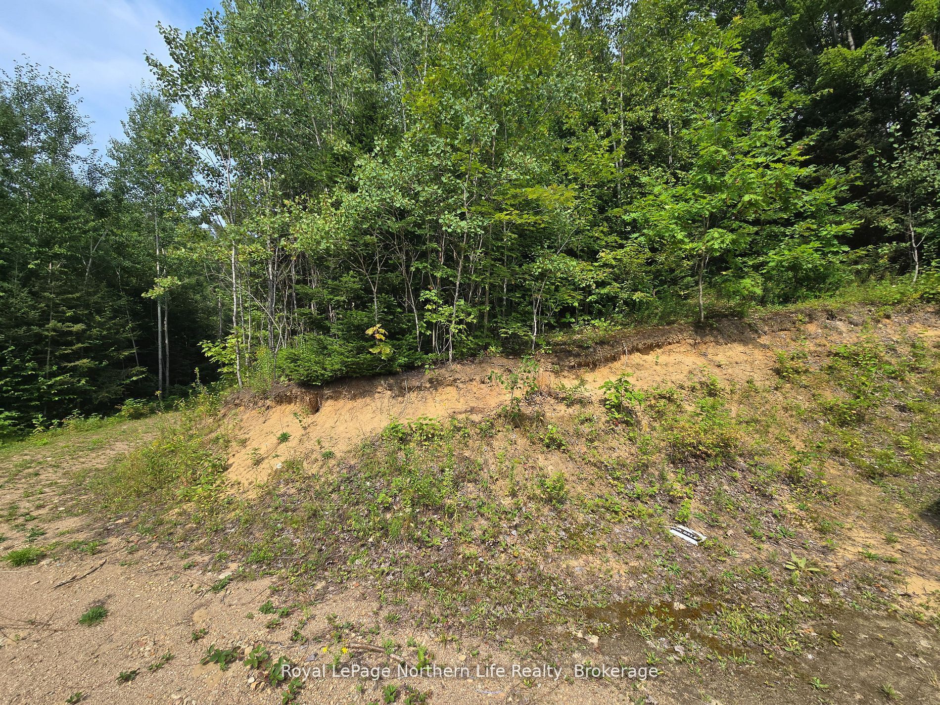680 Mount Pleasant Road Property Photo 29