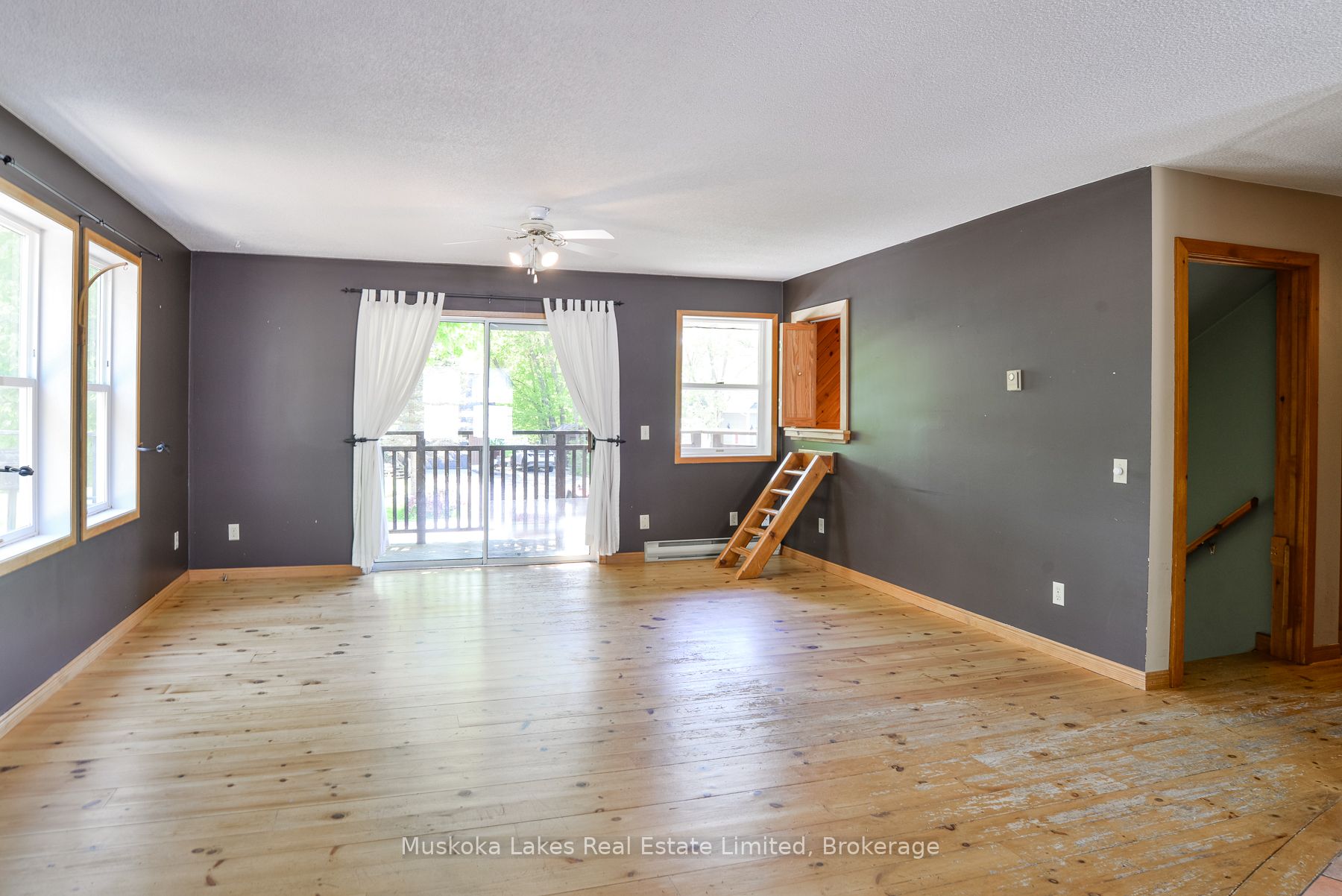 11 Harris Street Property Photo 8