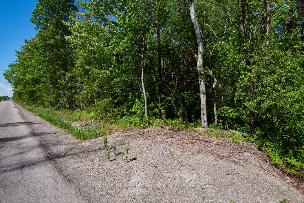 3255 Paden Road Property Photo 2
