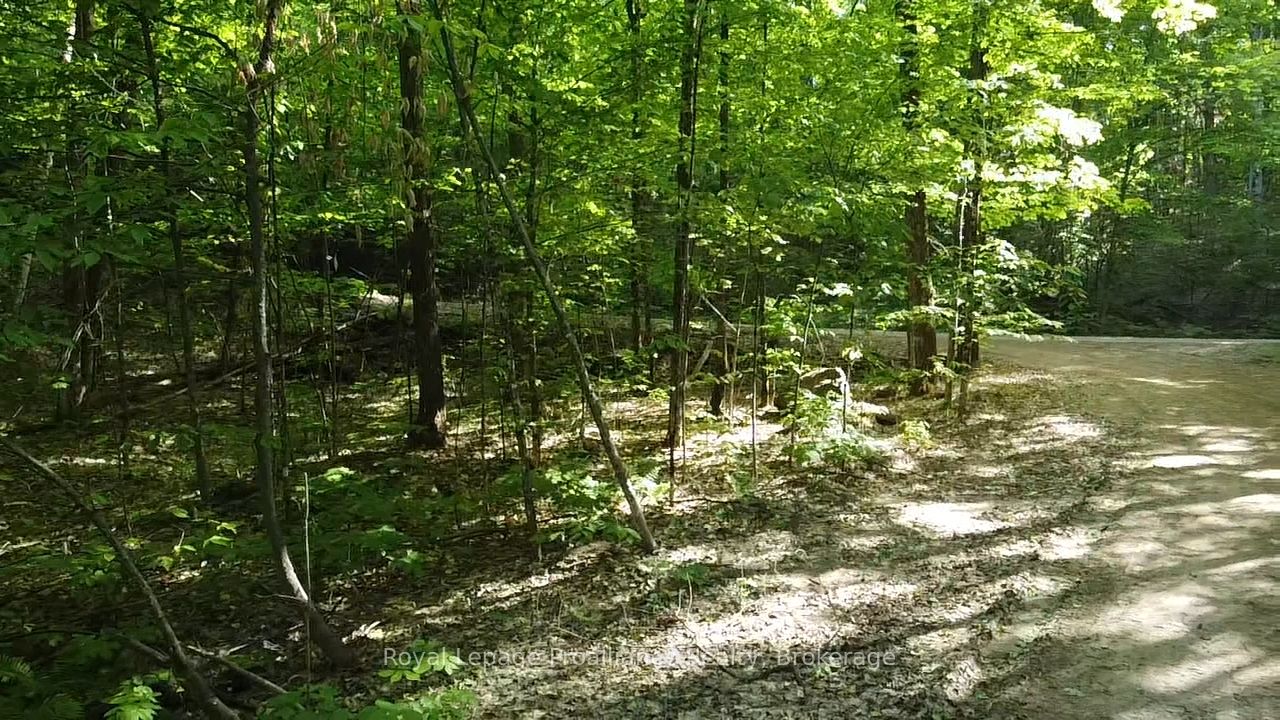 C8 Pt L2 Con 8 Pt Lot 22 Property Photo 5