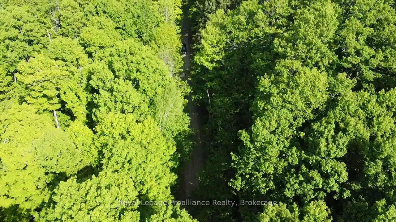 C8 Pt L2 Con 8 Pt Lot 22 Property Photo 8