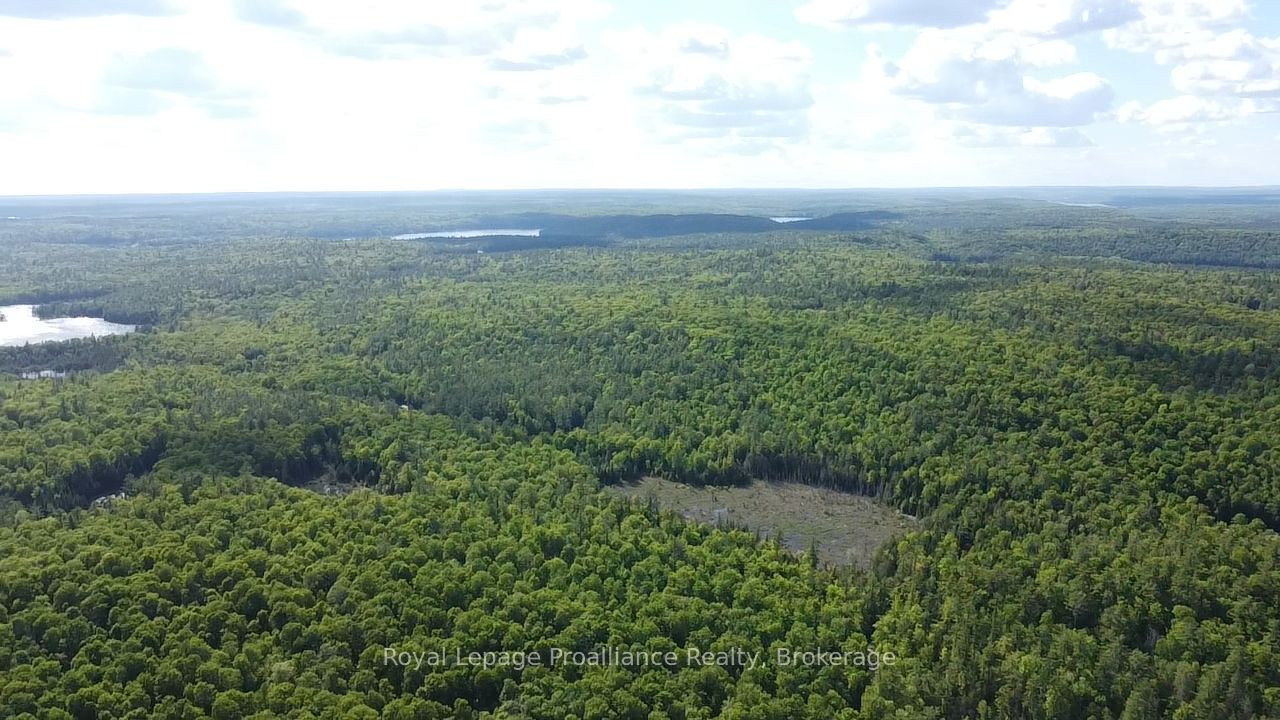 C8 Pt L2 Con 8 Pt Lot 22 Property Photo 18