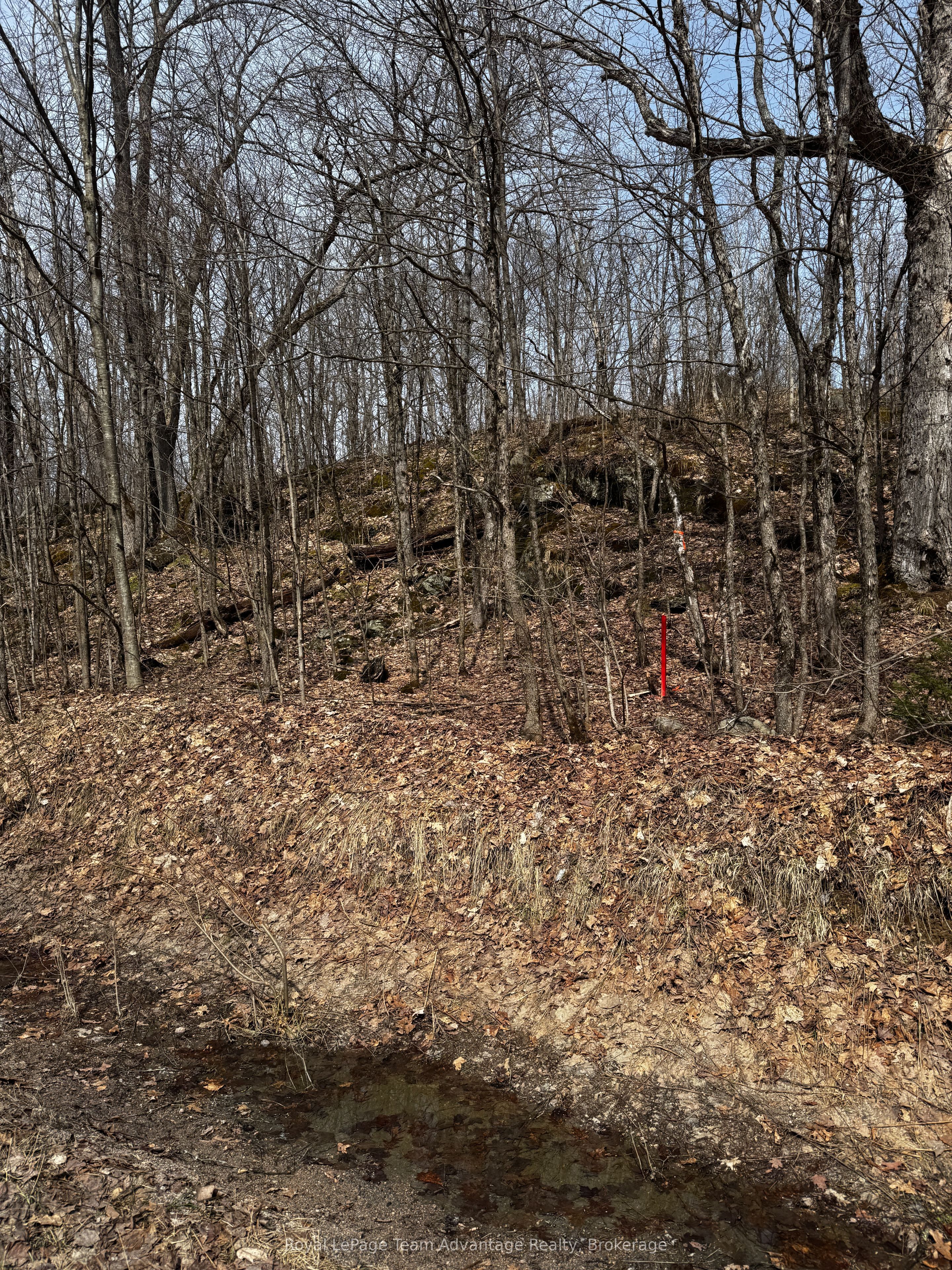 Lot 1 Lorimer Lake Road Property Photo 6