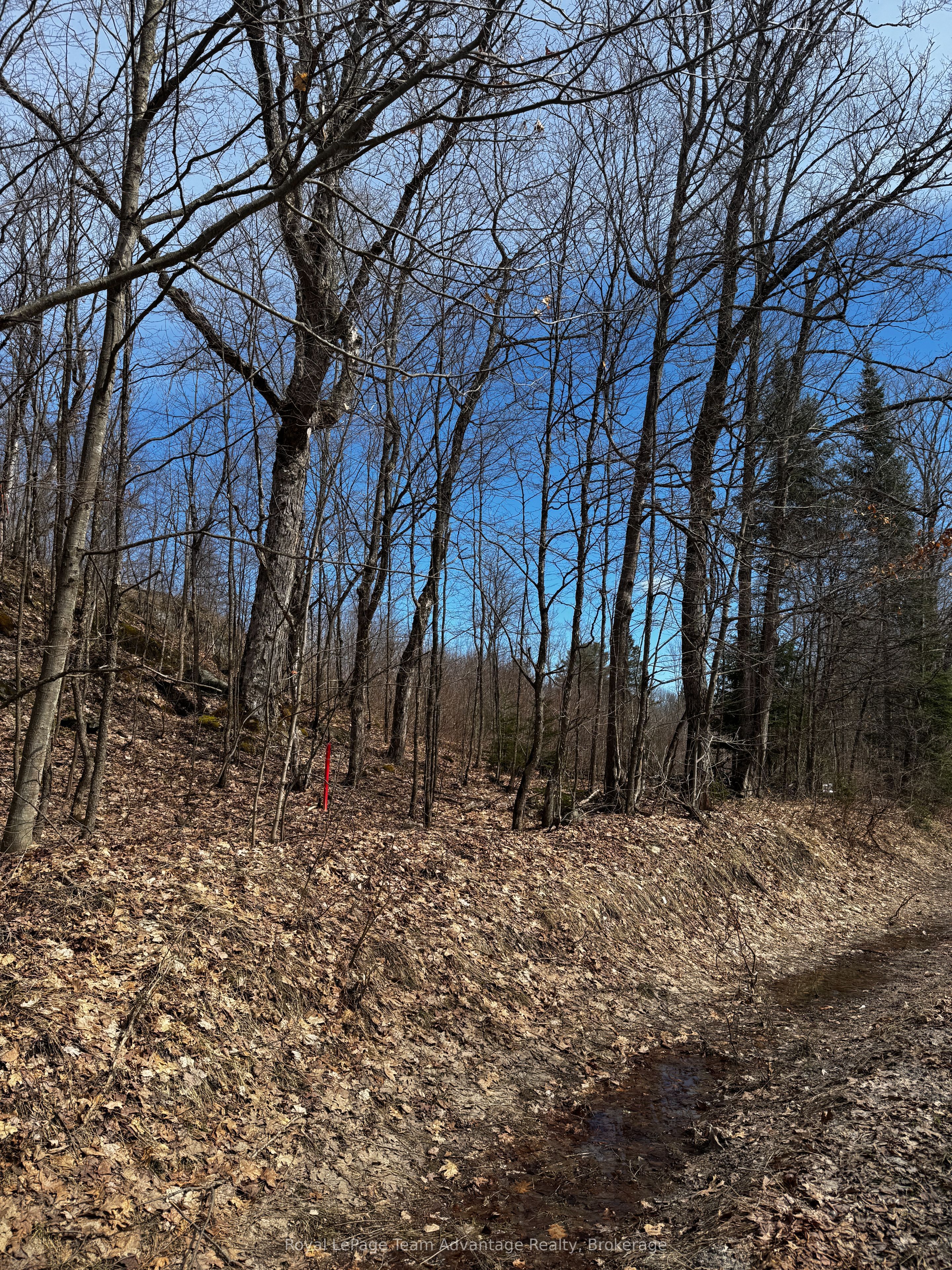 Lot 1 Lorimer Lake Road Property Photo 9