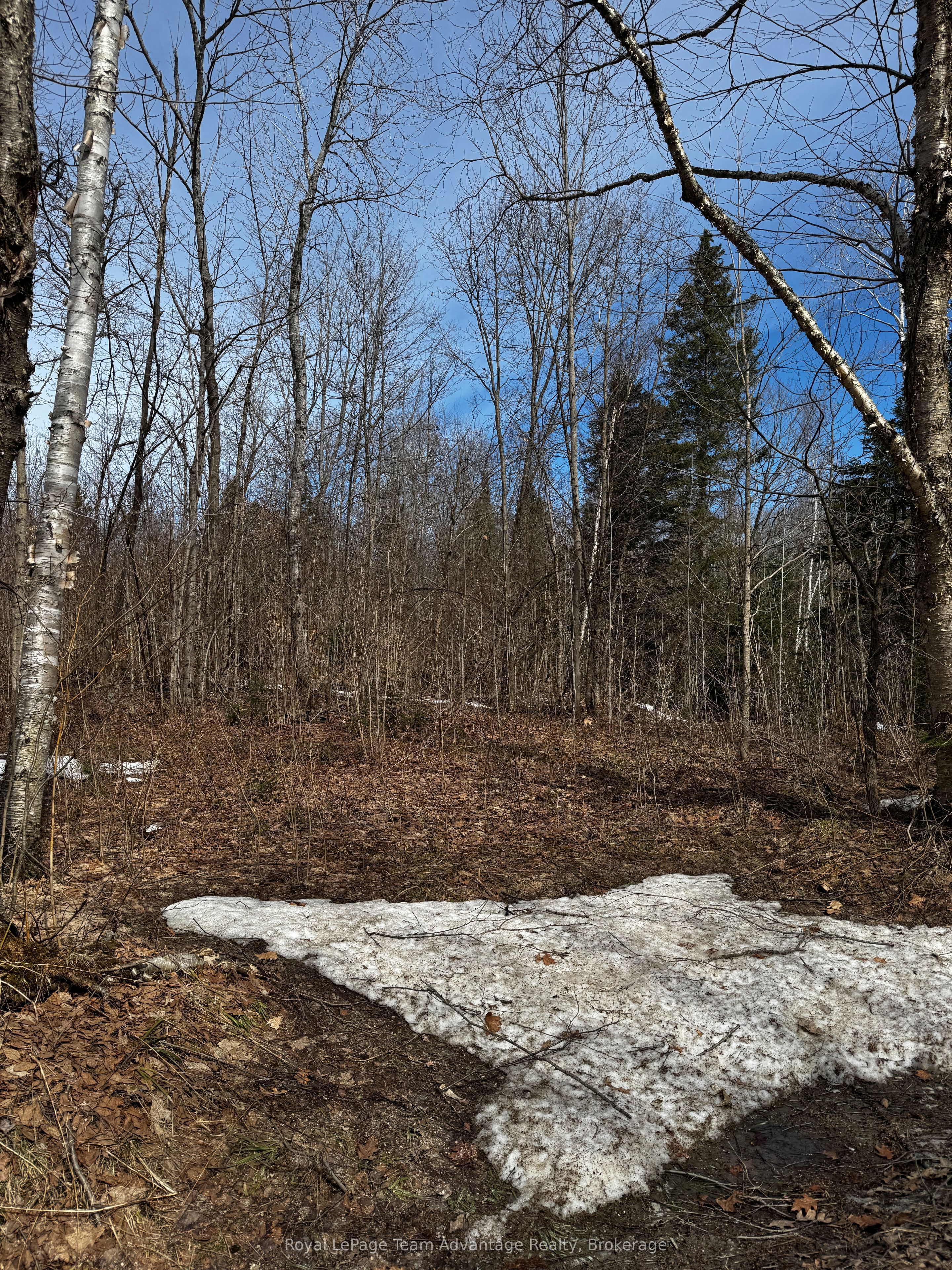 Lot 1 Lorimer Lake Road Property Photo 11