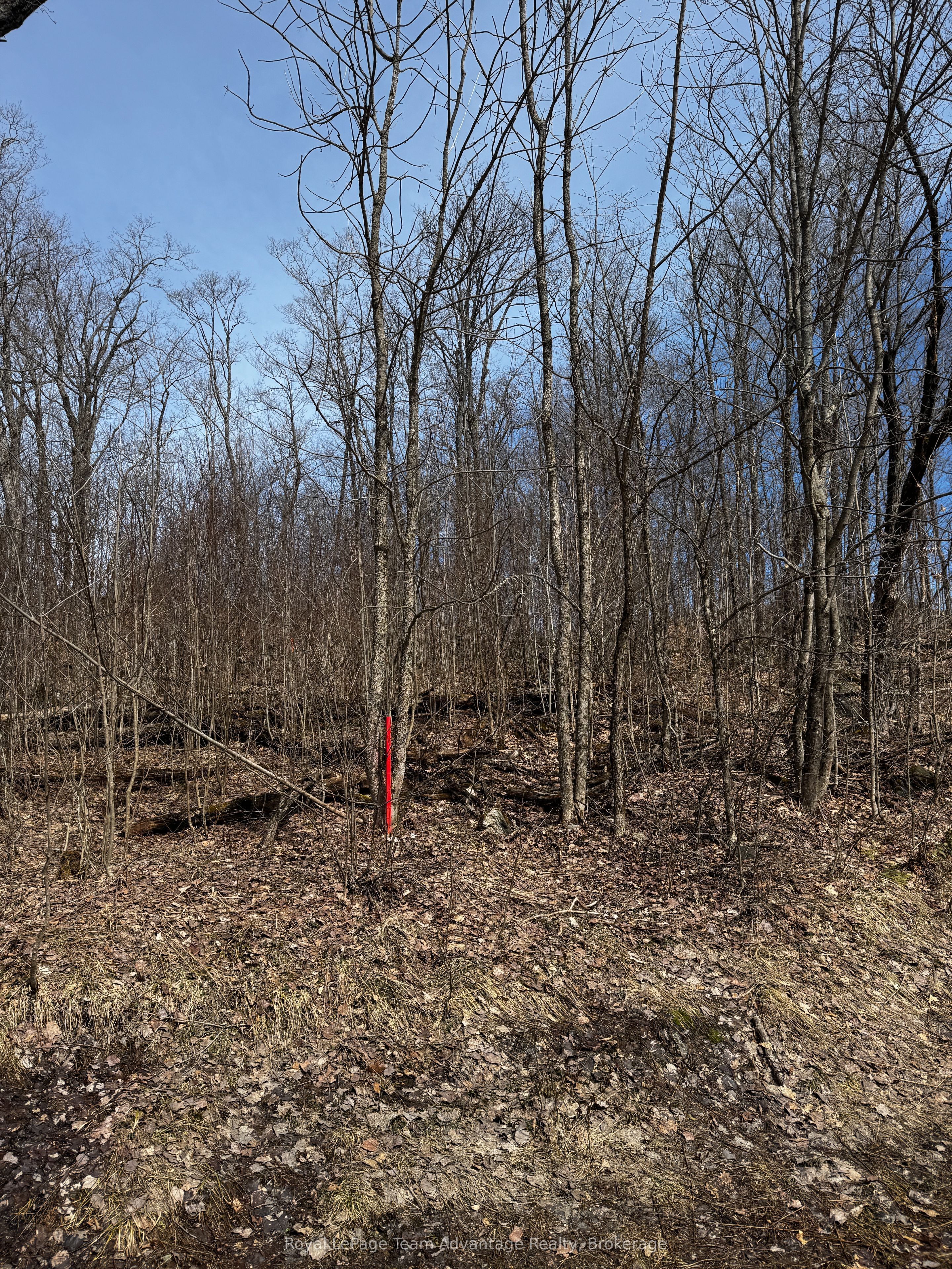Lot 2 Lorimer Lake Road Property Photo 6