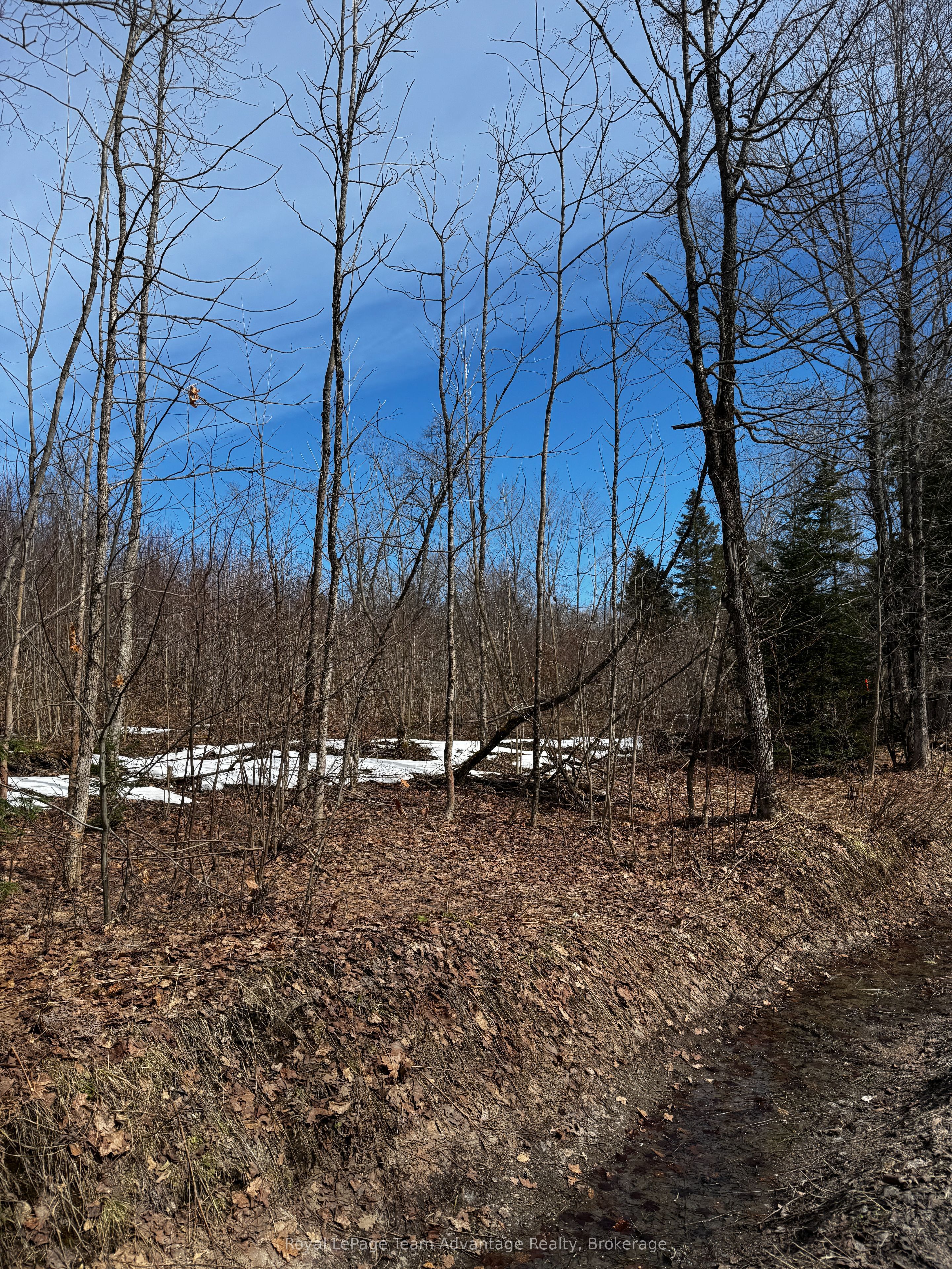 Lot 2 Lorimer Lake Road Property Photo 9
