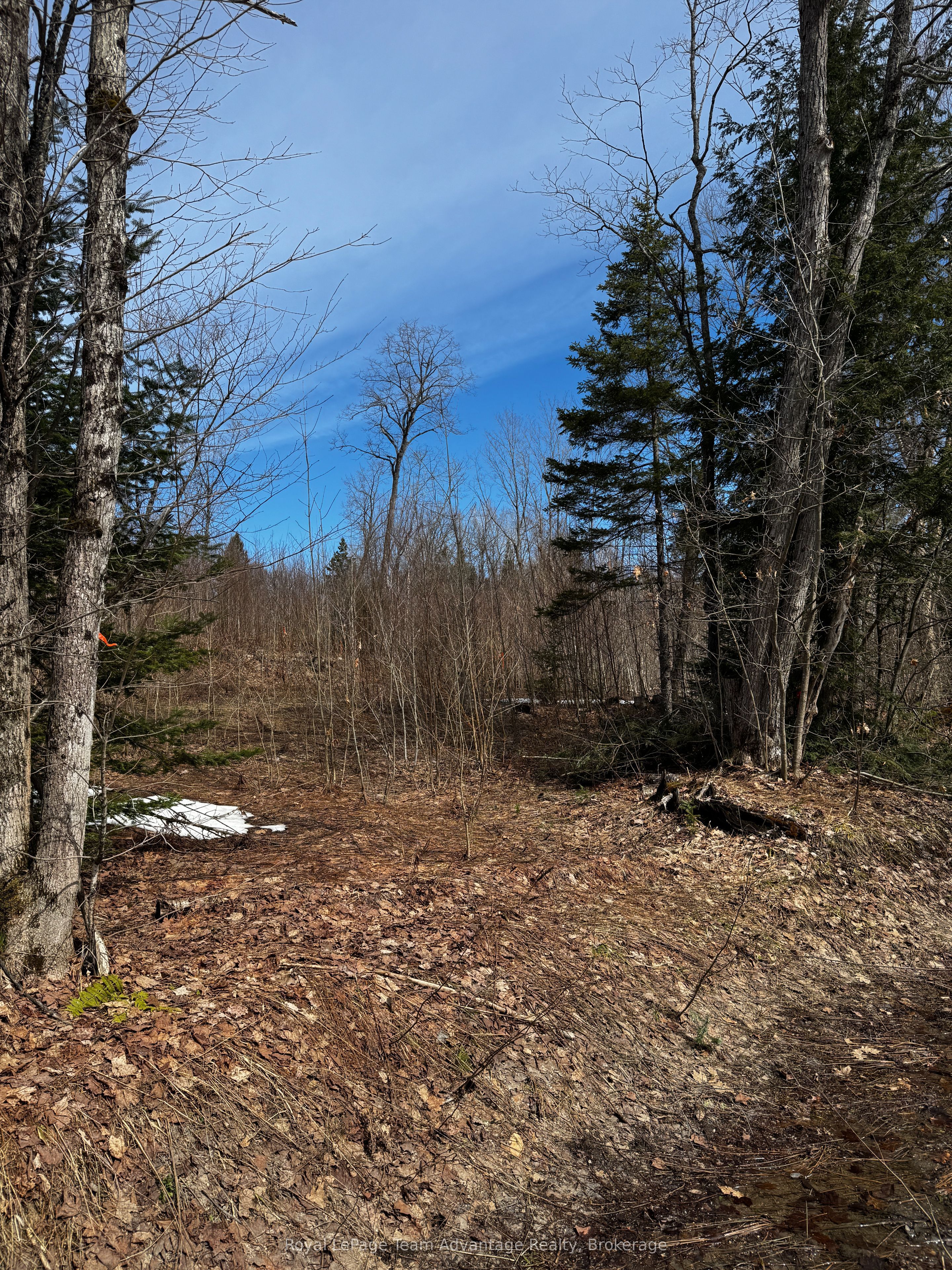 Lot 2 Lorimer Lake Road Property Photo 10