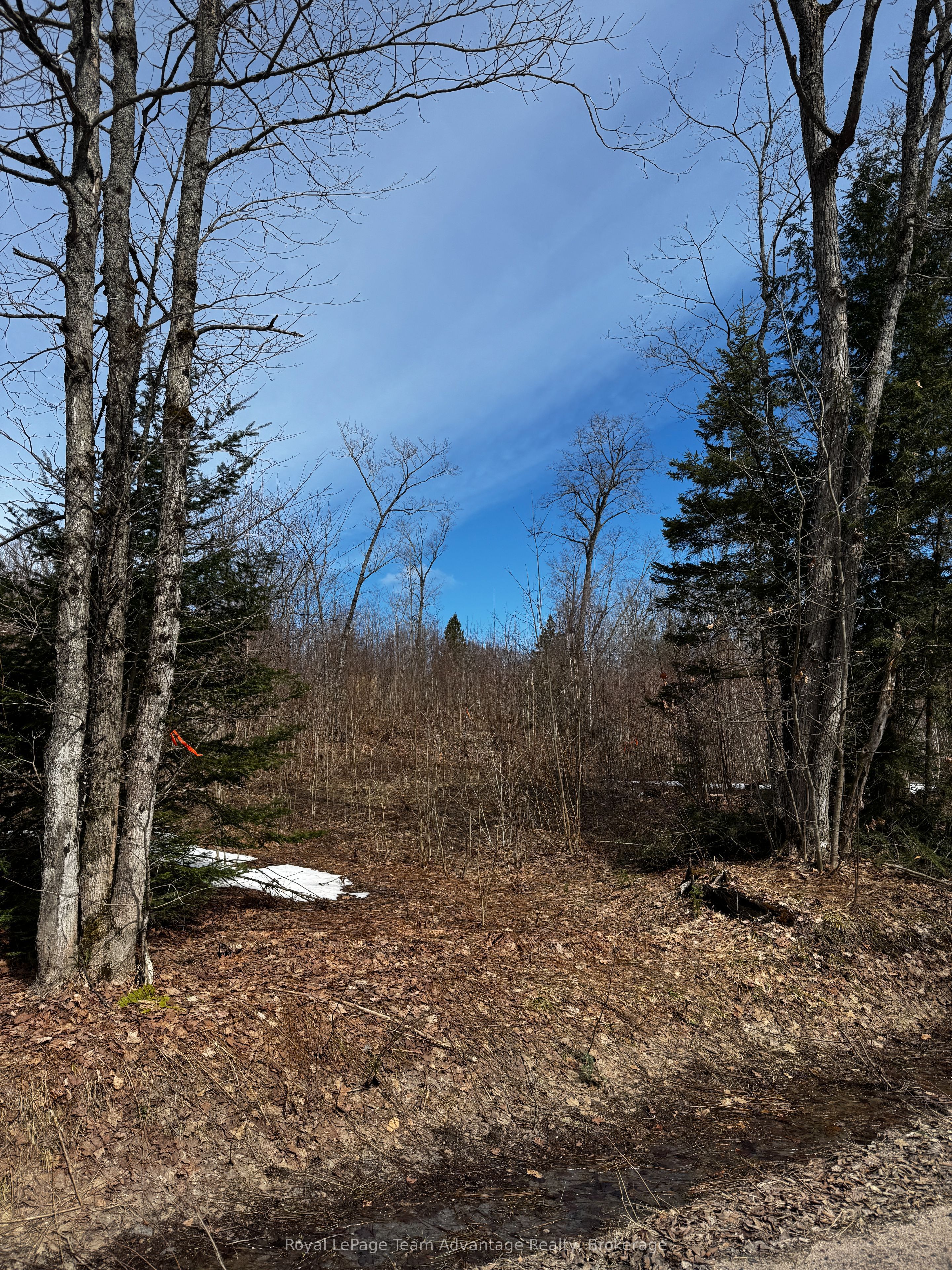 Lot 3 Lorimer Lake Road Property Photo 4