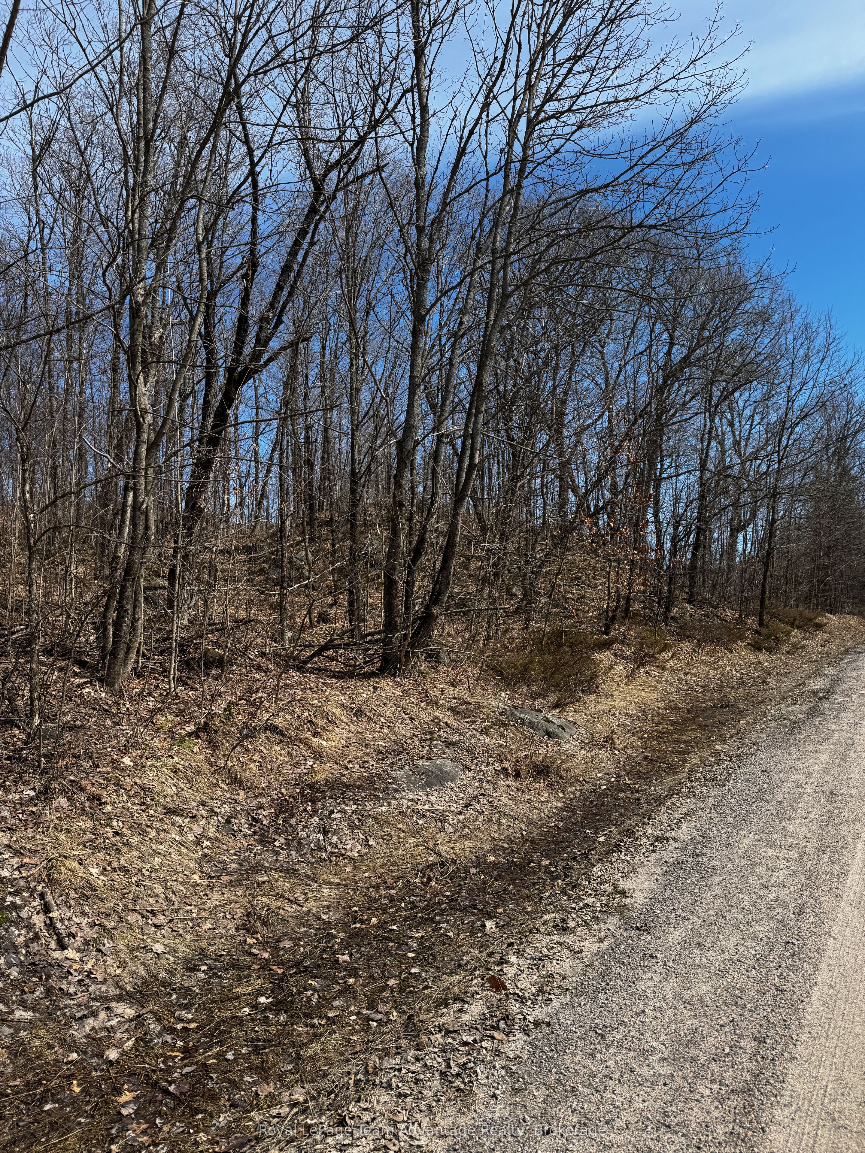 Lot 3 Lorimer Lake Road Property Photo 6