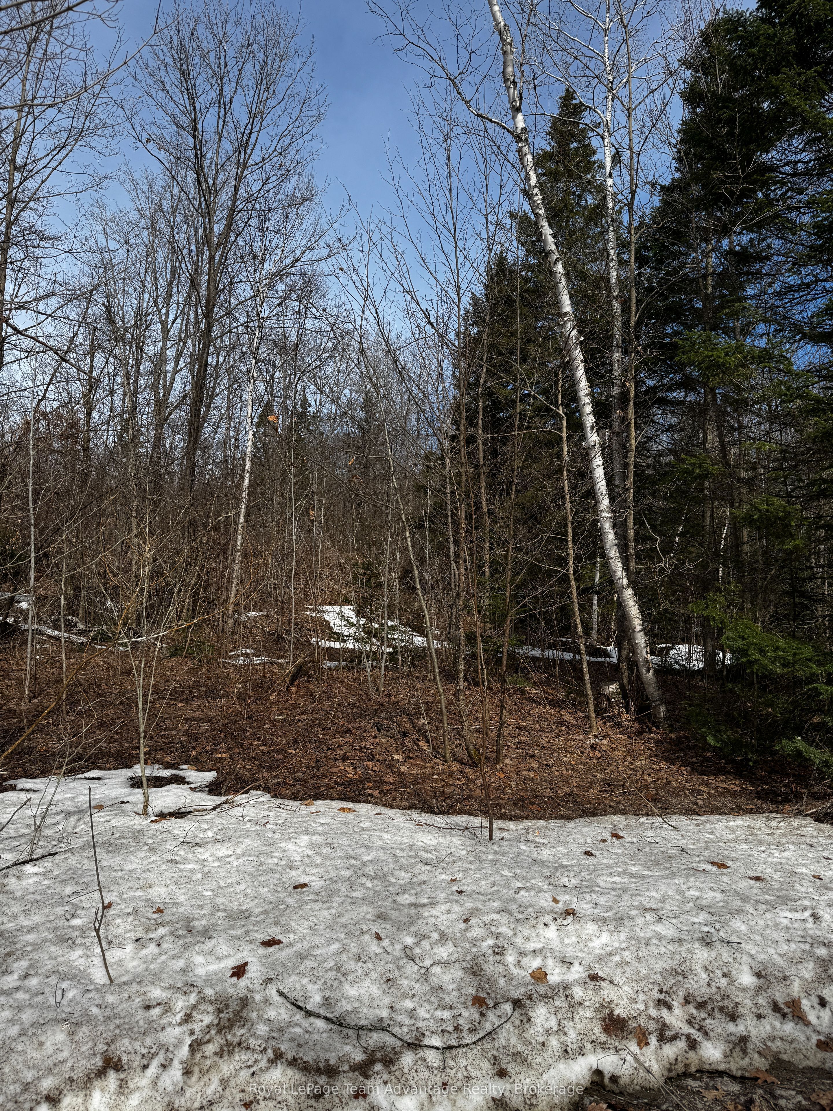 Lot 3 Lorimer Lake Road Property Photo 10