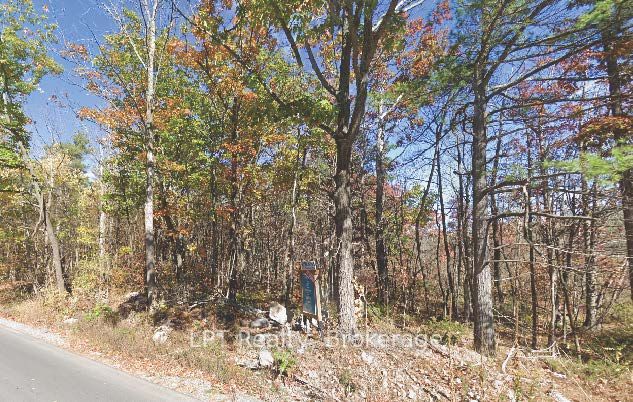 Pt Lot 8 Marble Point Road Property Photo 4