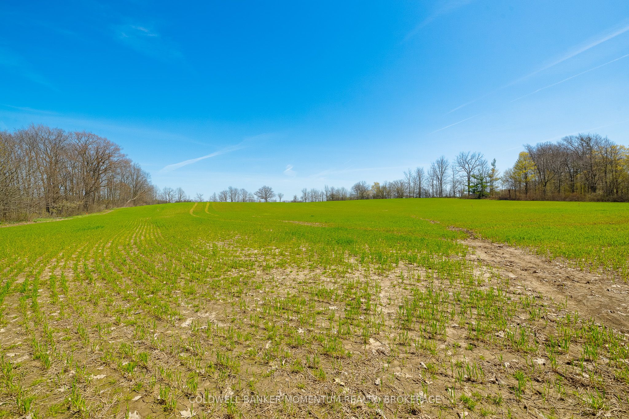 Pt Lot 7 Con 9 Tintern Road Property Photo 10