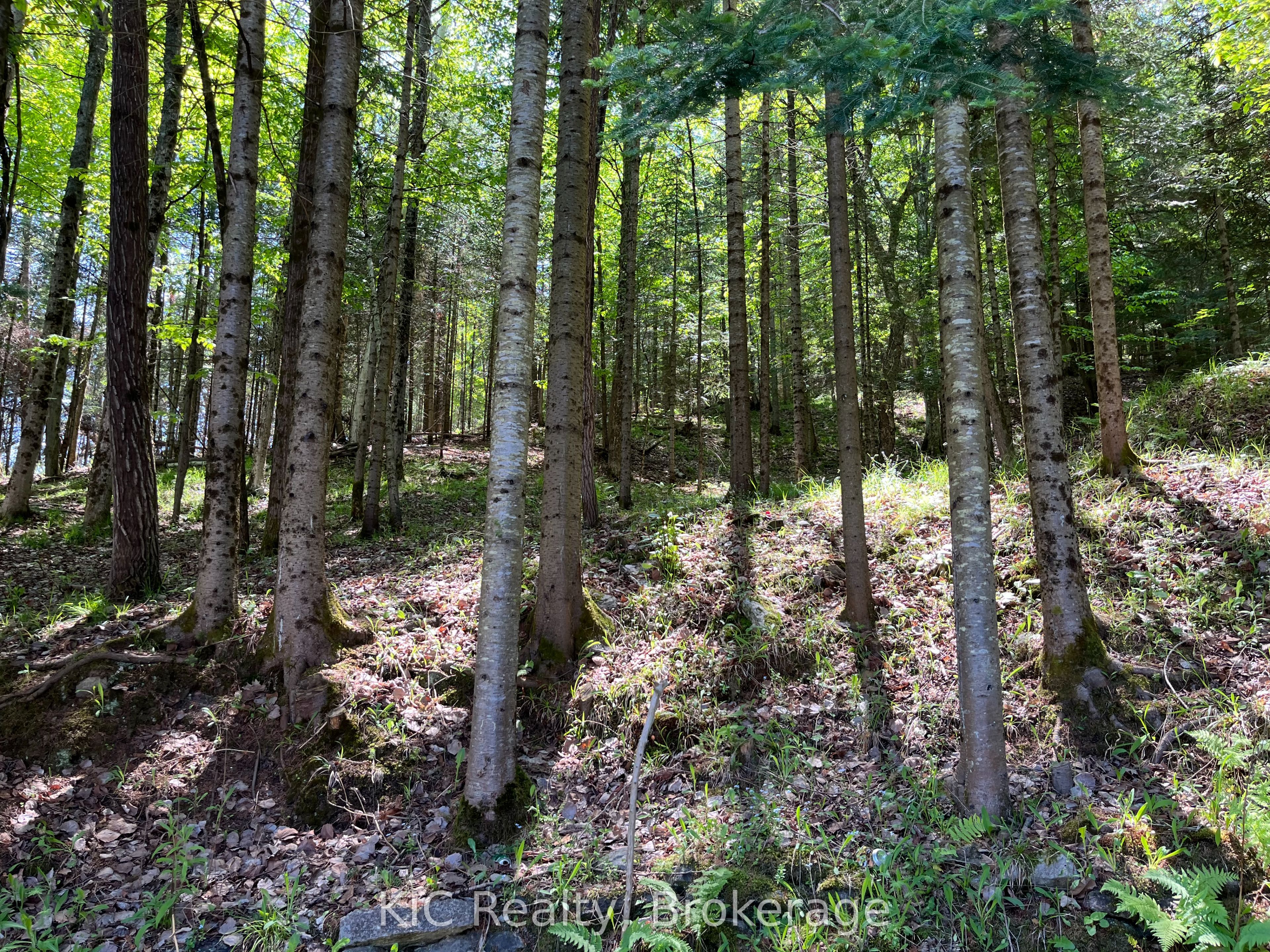 14202 Highway 118 Highway E Property Photo 45