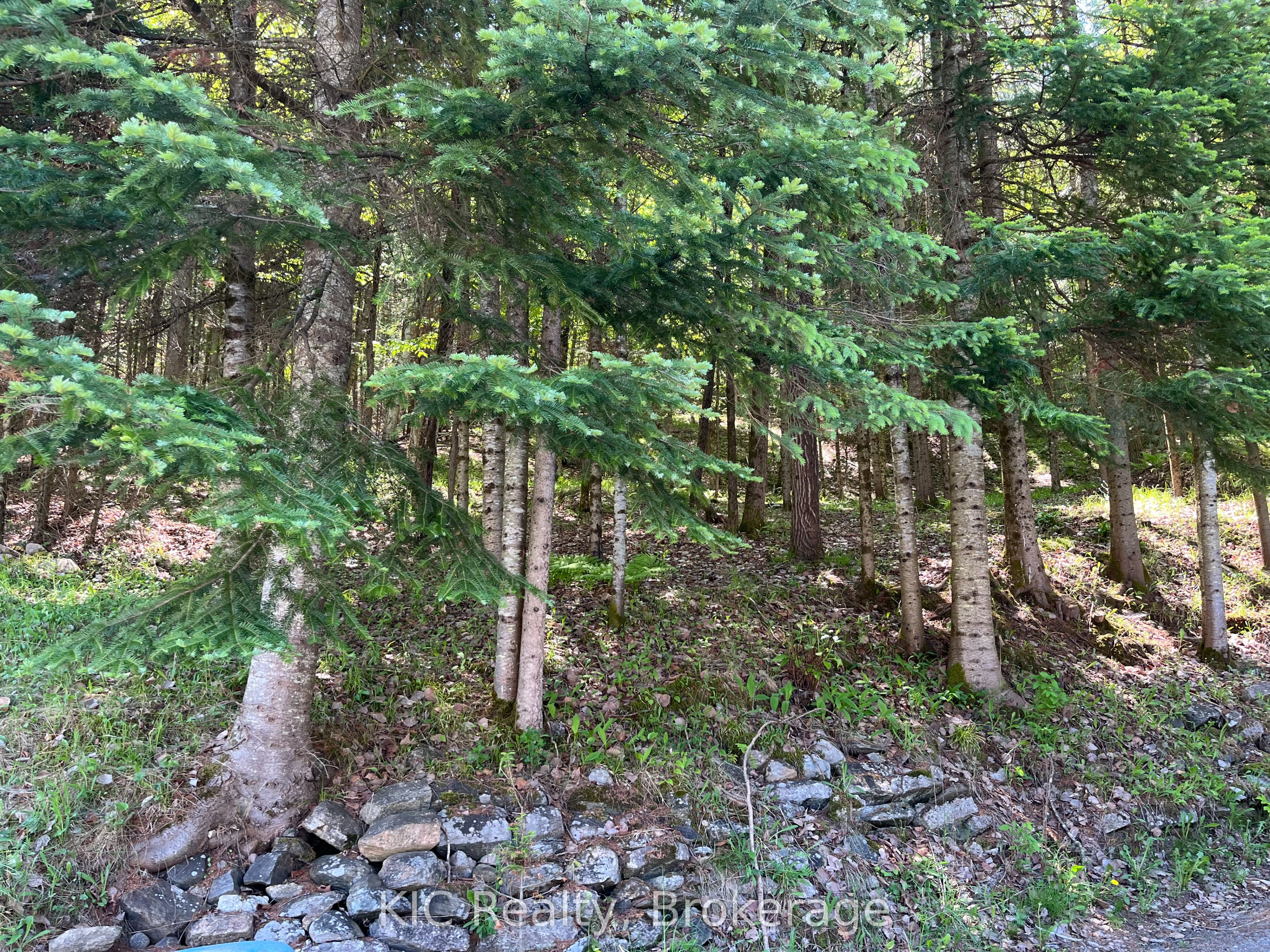 14202 Highway 118 Highway E Property Photo 47