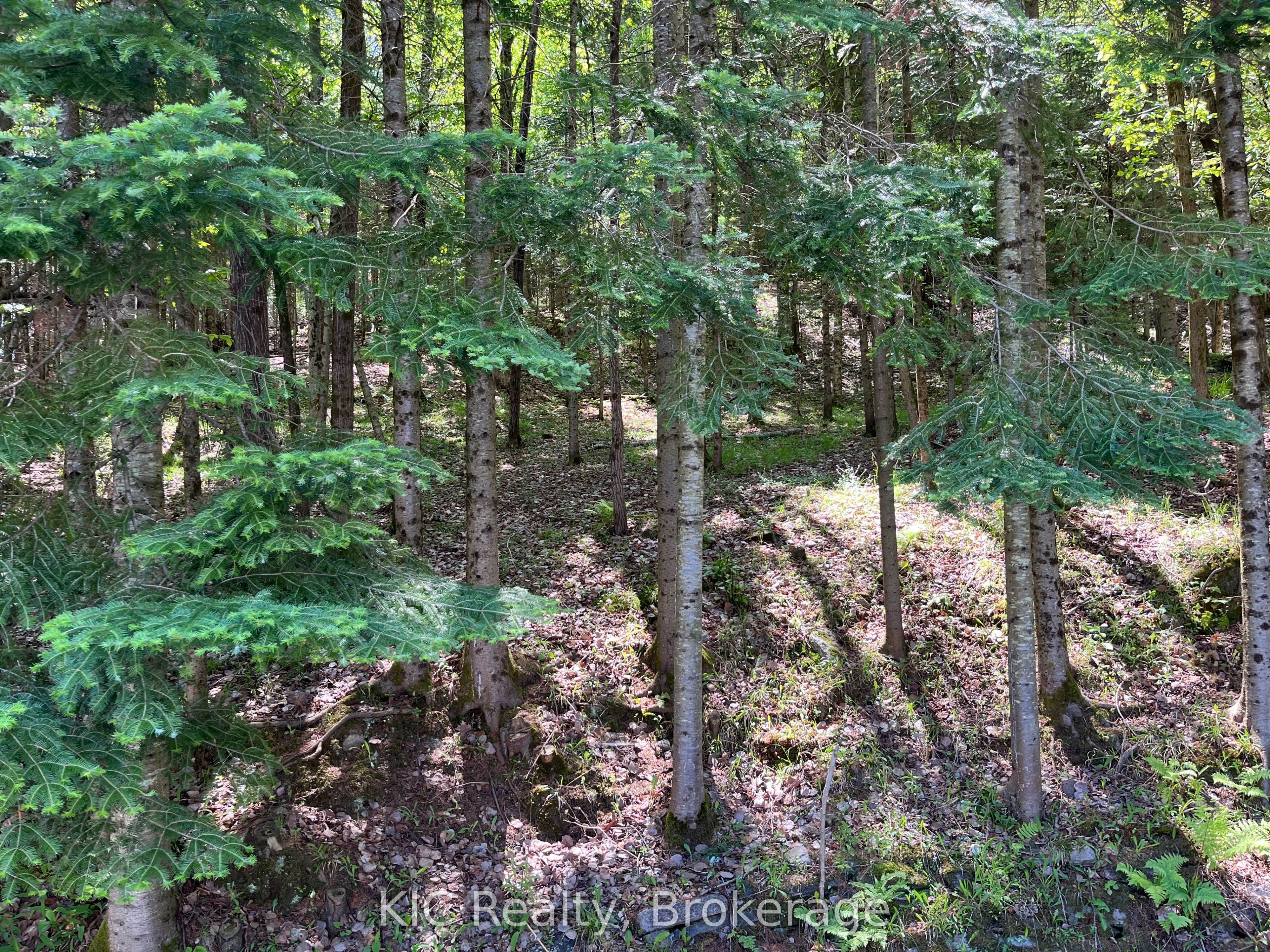 14202 Highway 118 Highway E Property Photo 49
