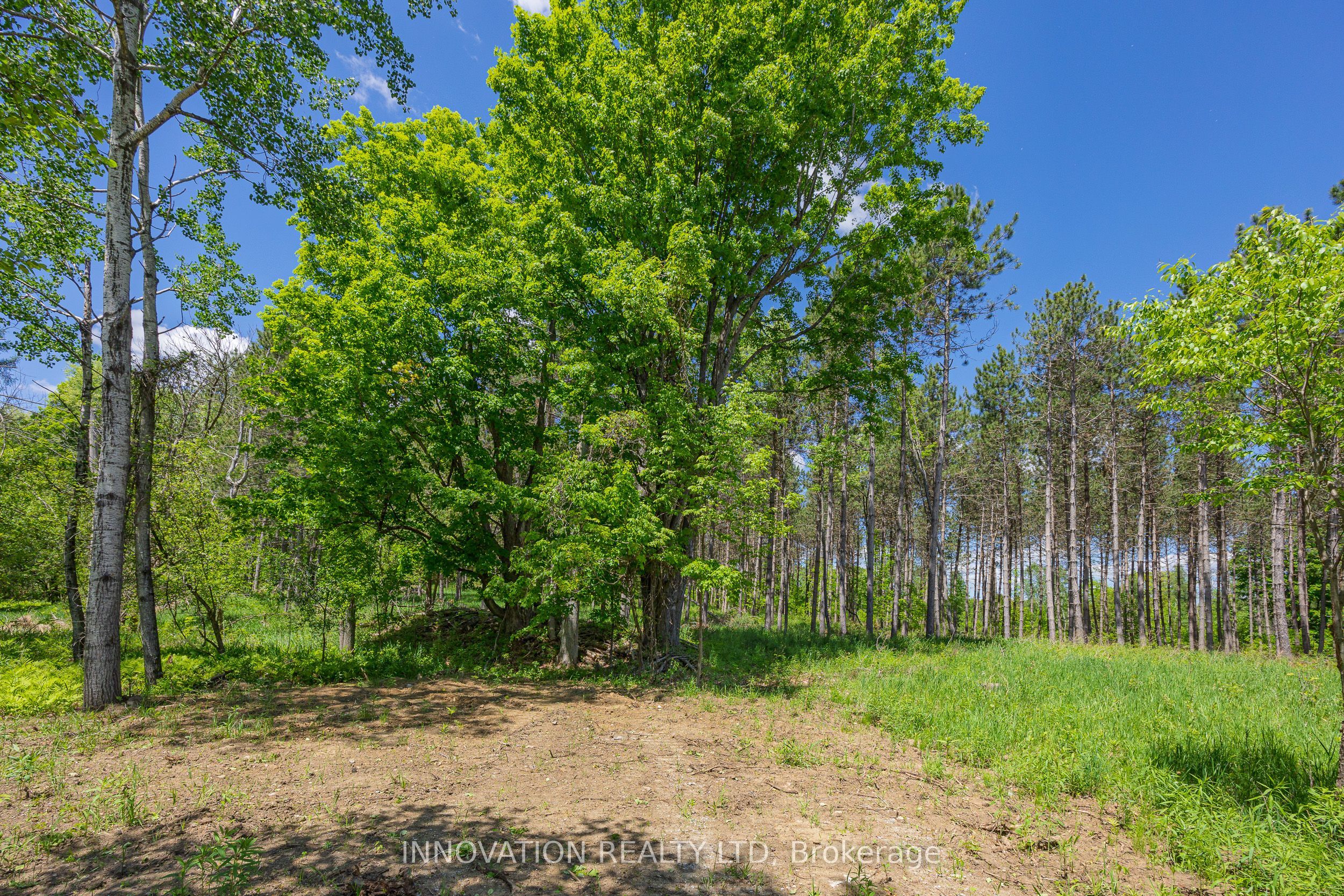 354 Mcculloch Road Property Photo 3