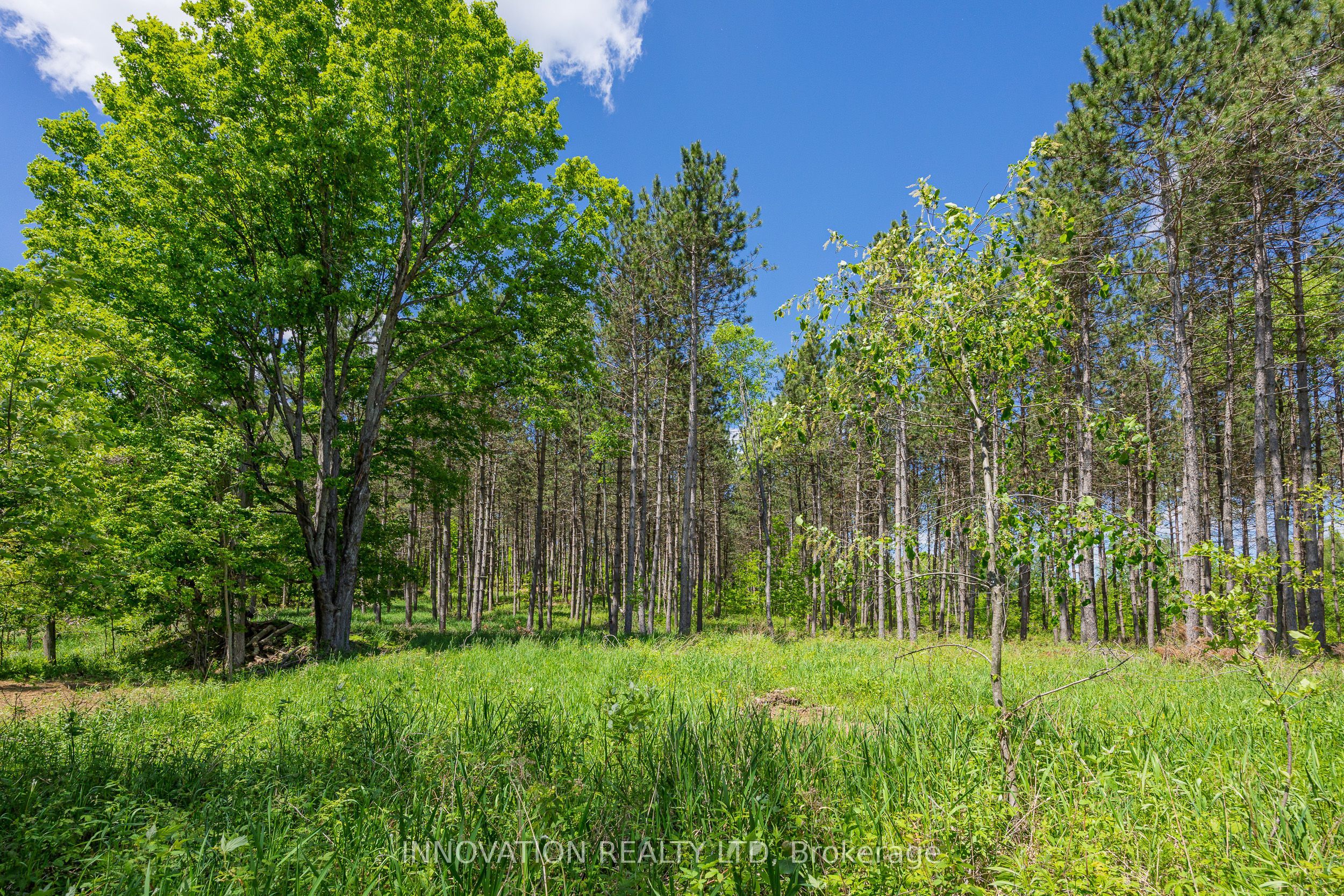 354 Mcculloch Road Property Photo 4