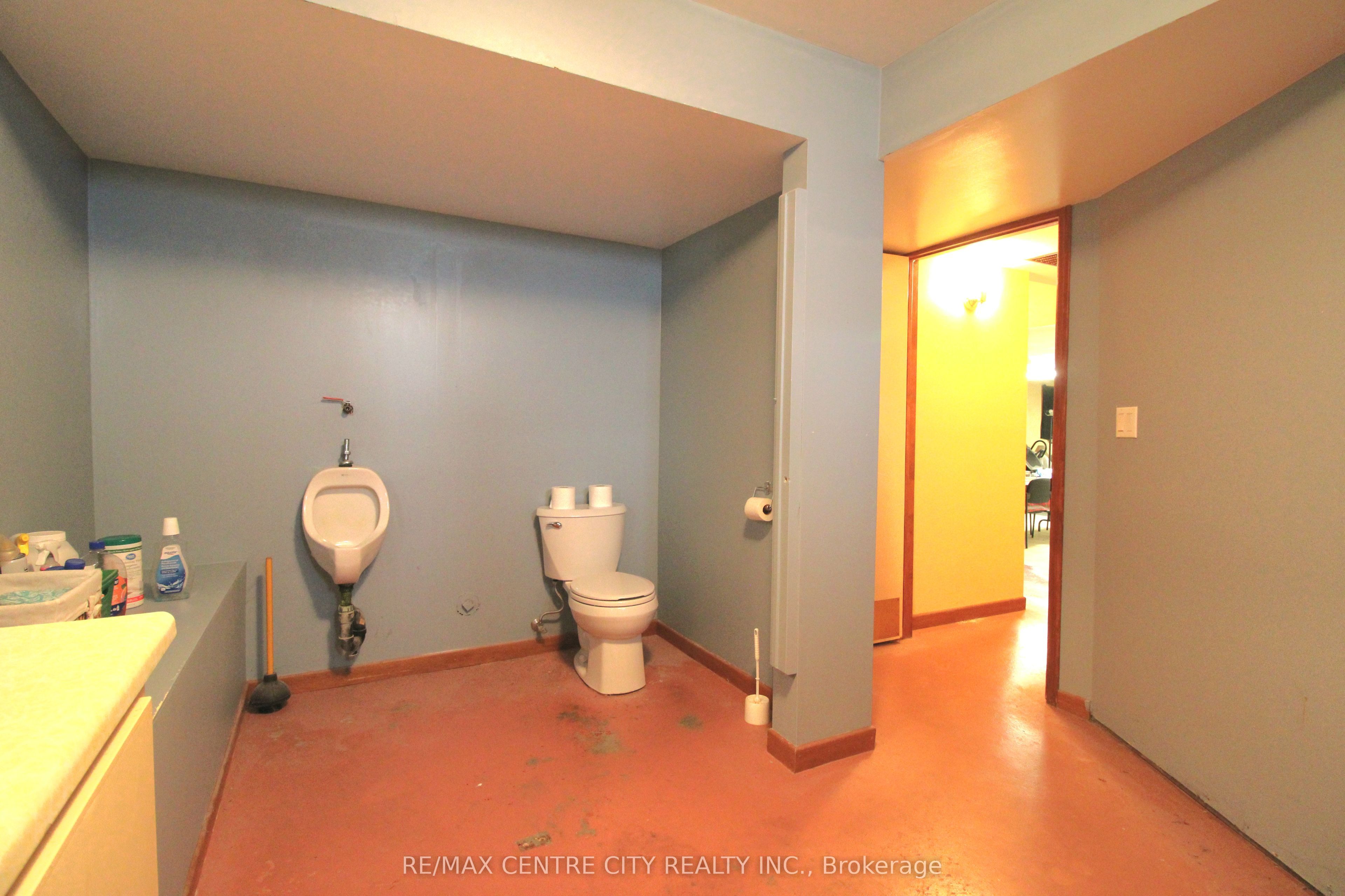 12 Chester Street Property Photo 22