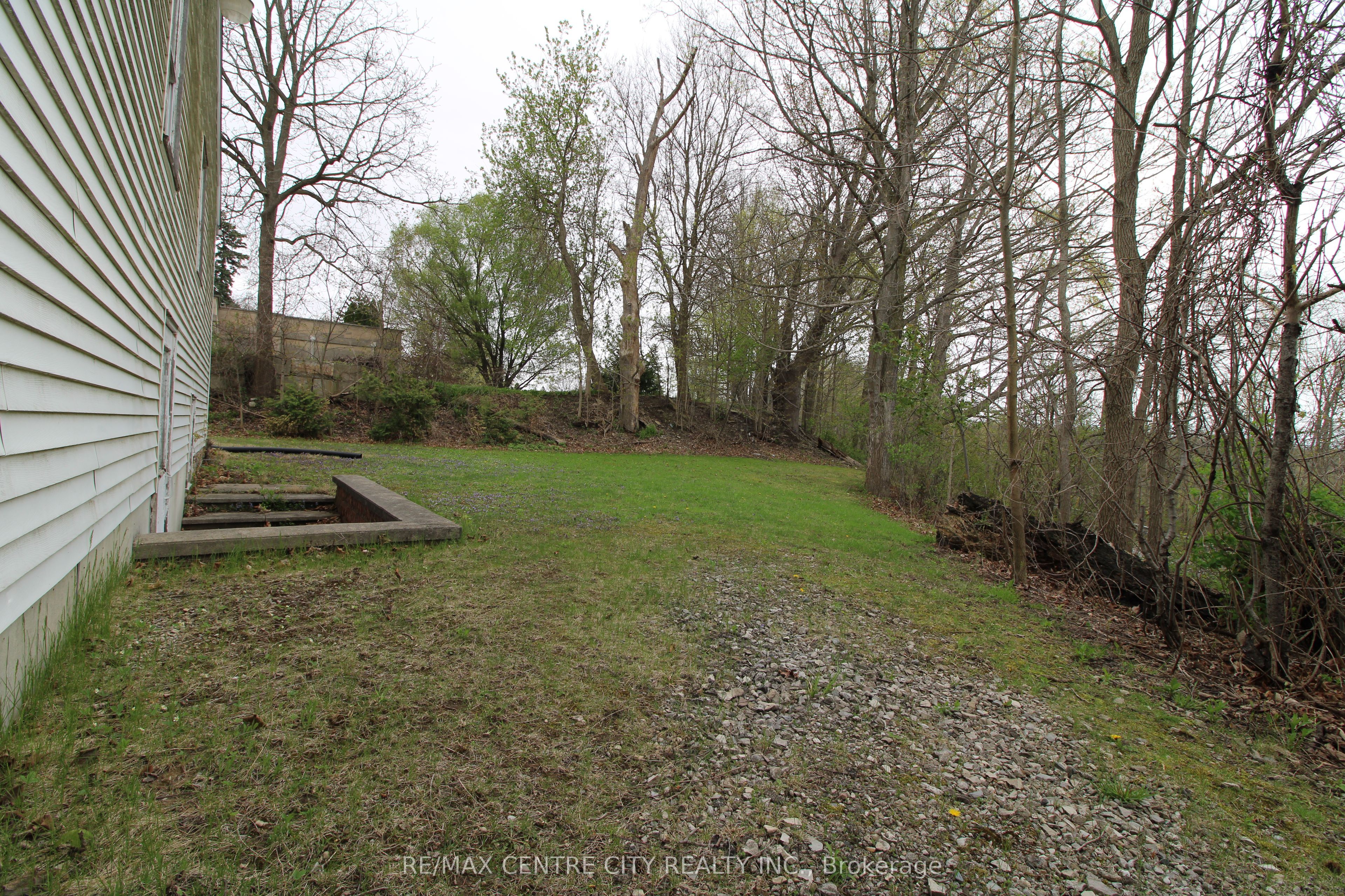 12 Chester Street Property Photo 25
