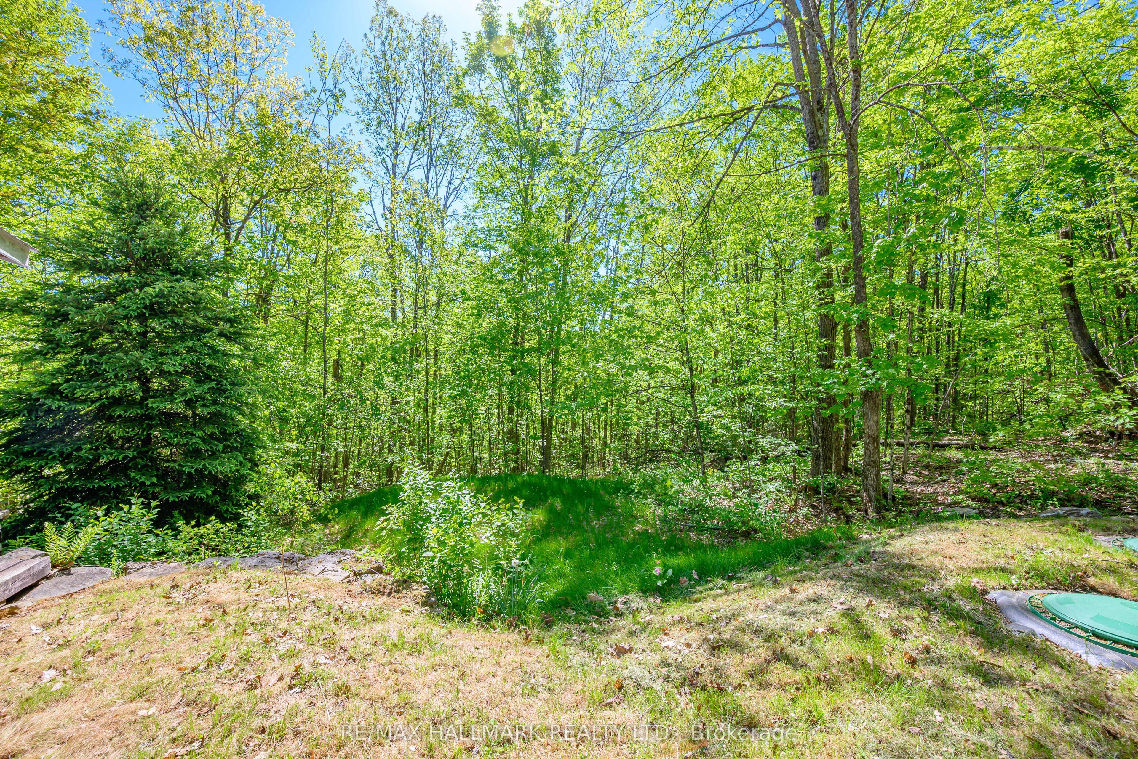1005 Learners Lane Property Photo 28