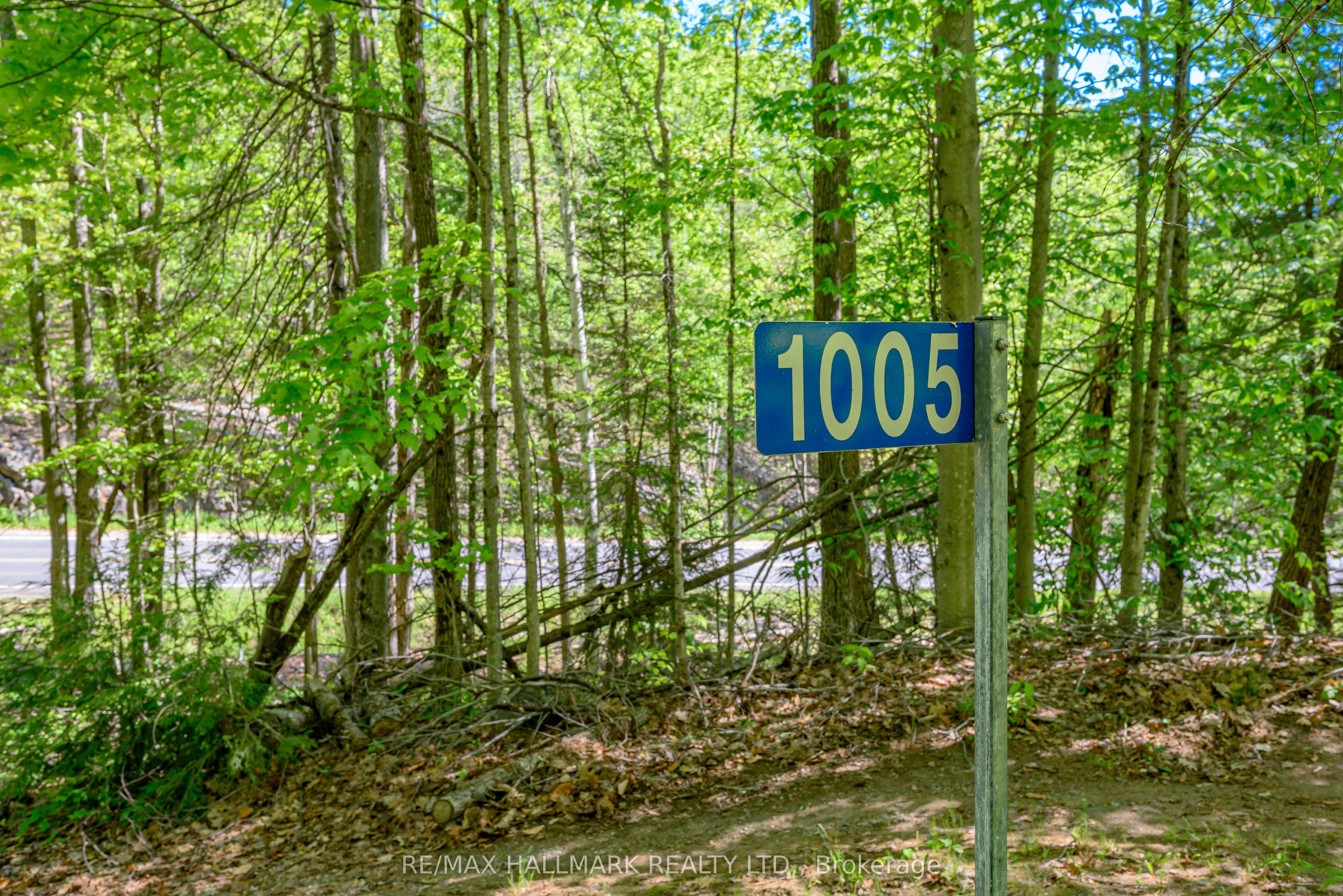 1005 Learners Lane Property Photo 48