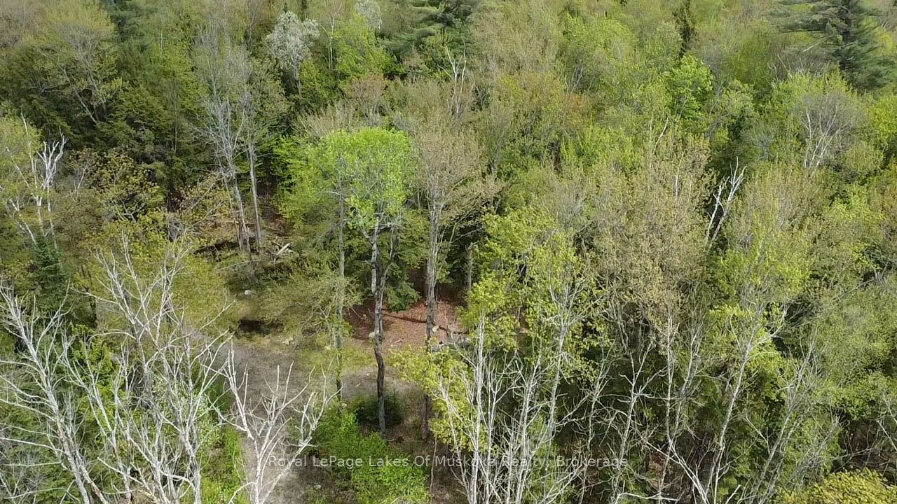 887 Star Lake Road Property Photo 6