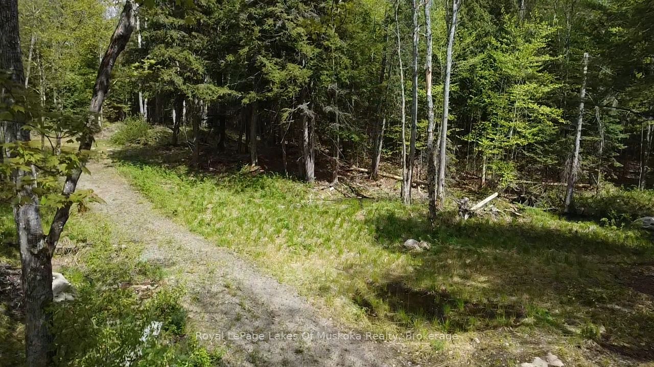 887 Star Lake Road Property Photo 7
