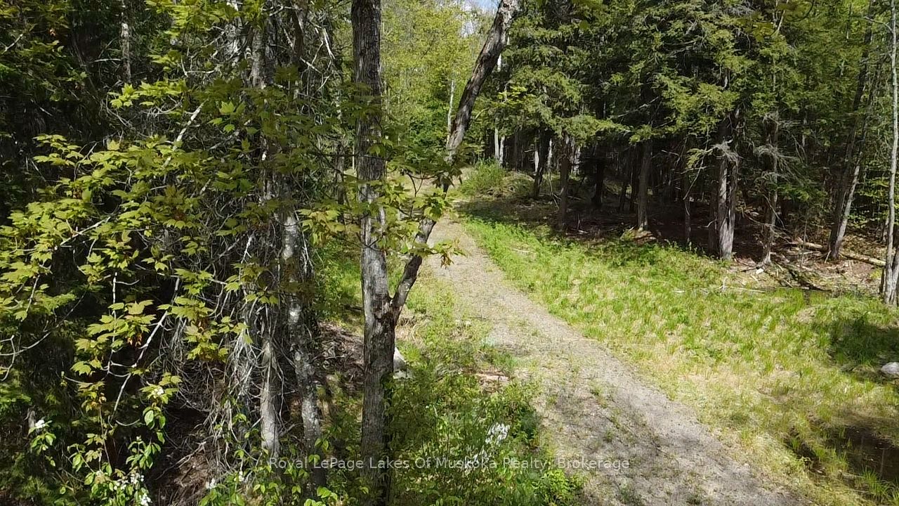 887 Star Lake Road Property Photo 8