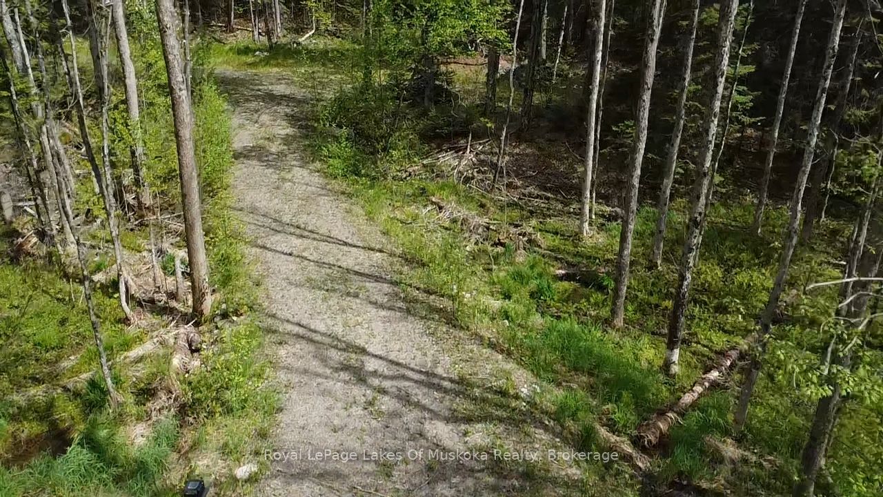 887 Star Lake Road Property Photo 9