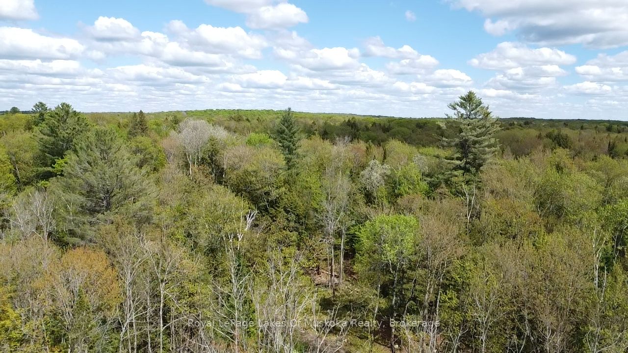 887 Star Lake Road Property Photo 11