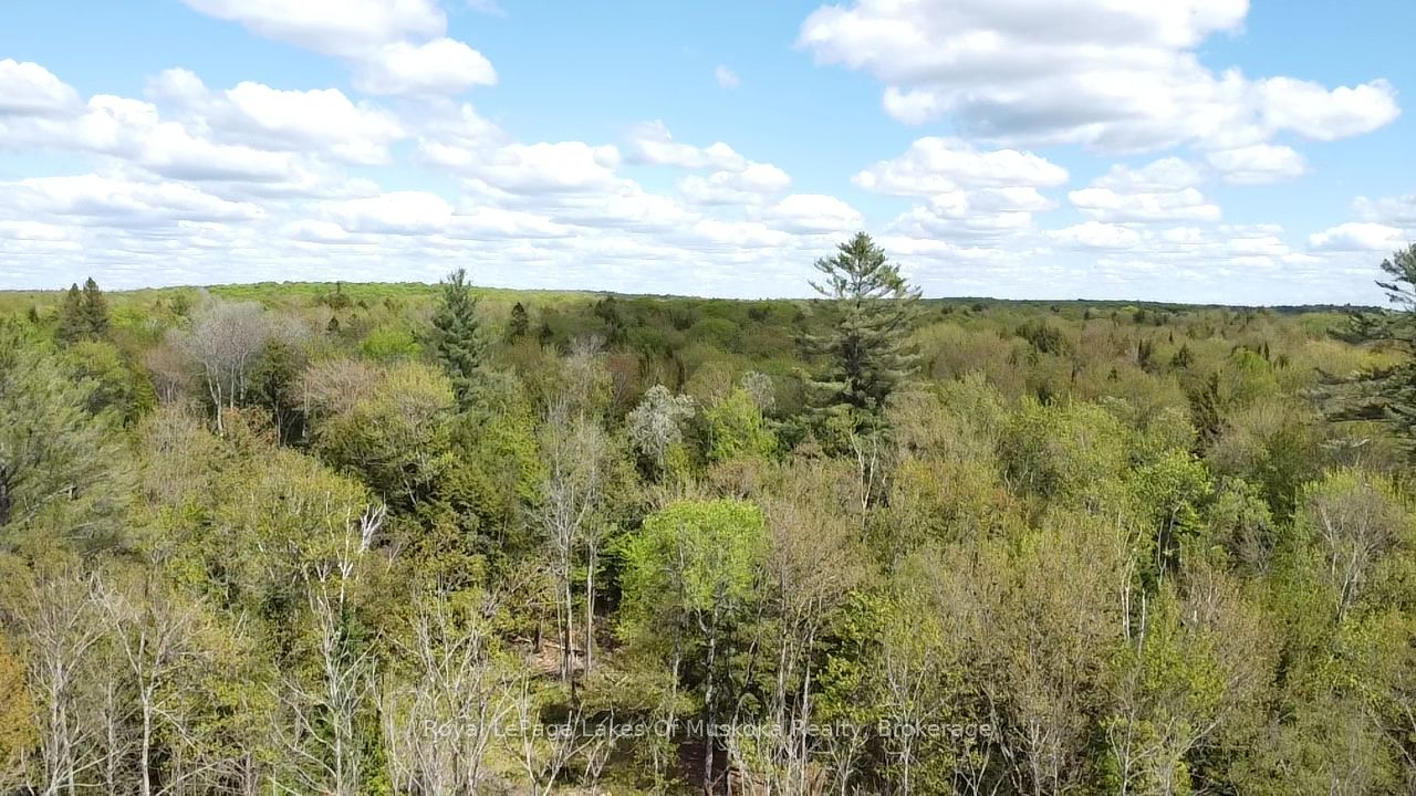 887 Star Lake Road Property Photo 12
