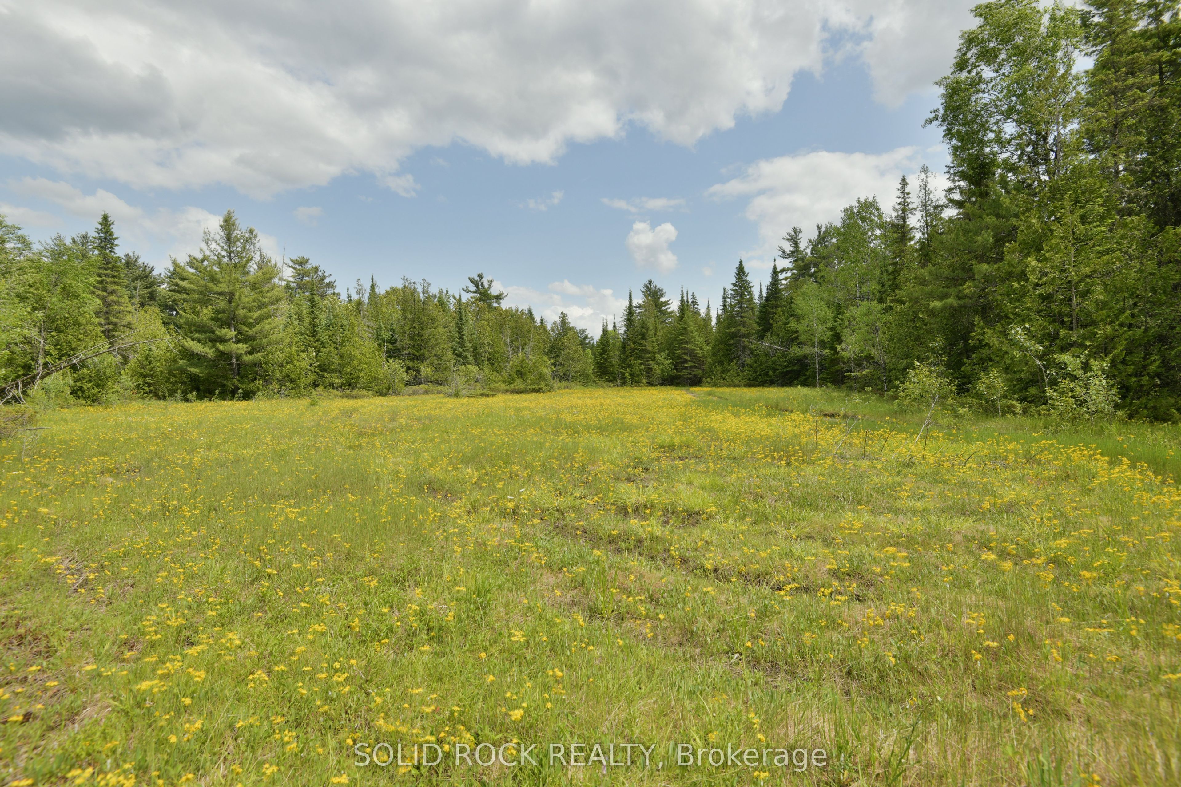 0 Mast Road Property Photo 5