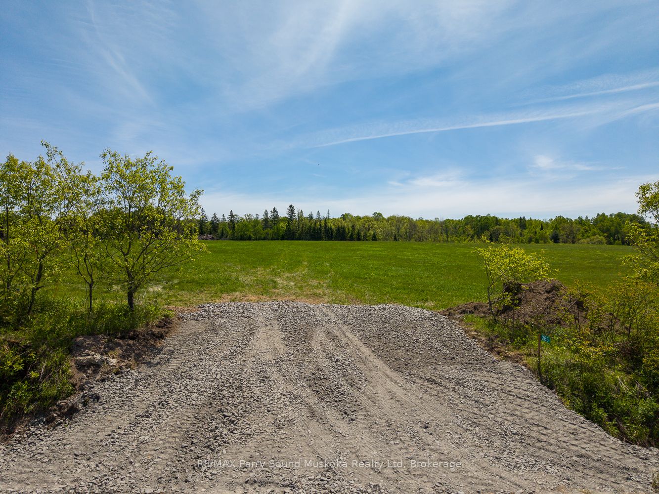 265 Balsam Road Property Photo 7