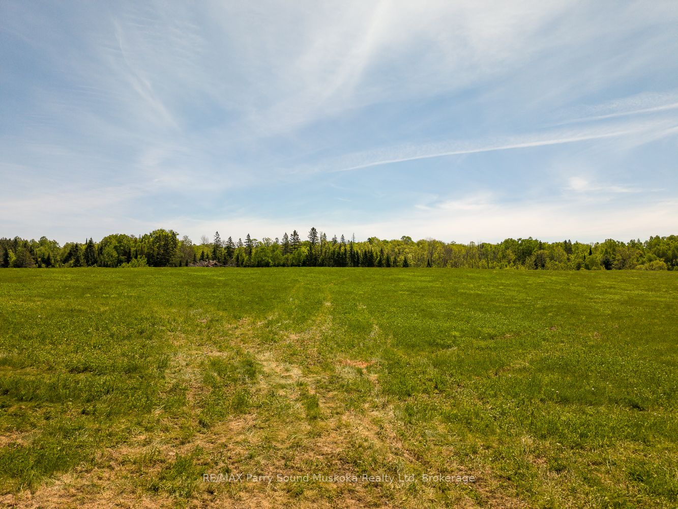 265 Balsam Road Property Photo 9