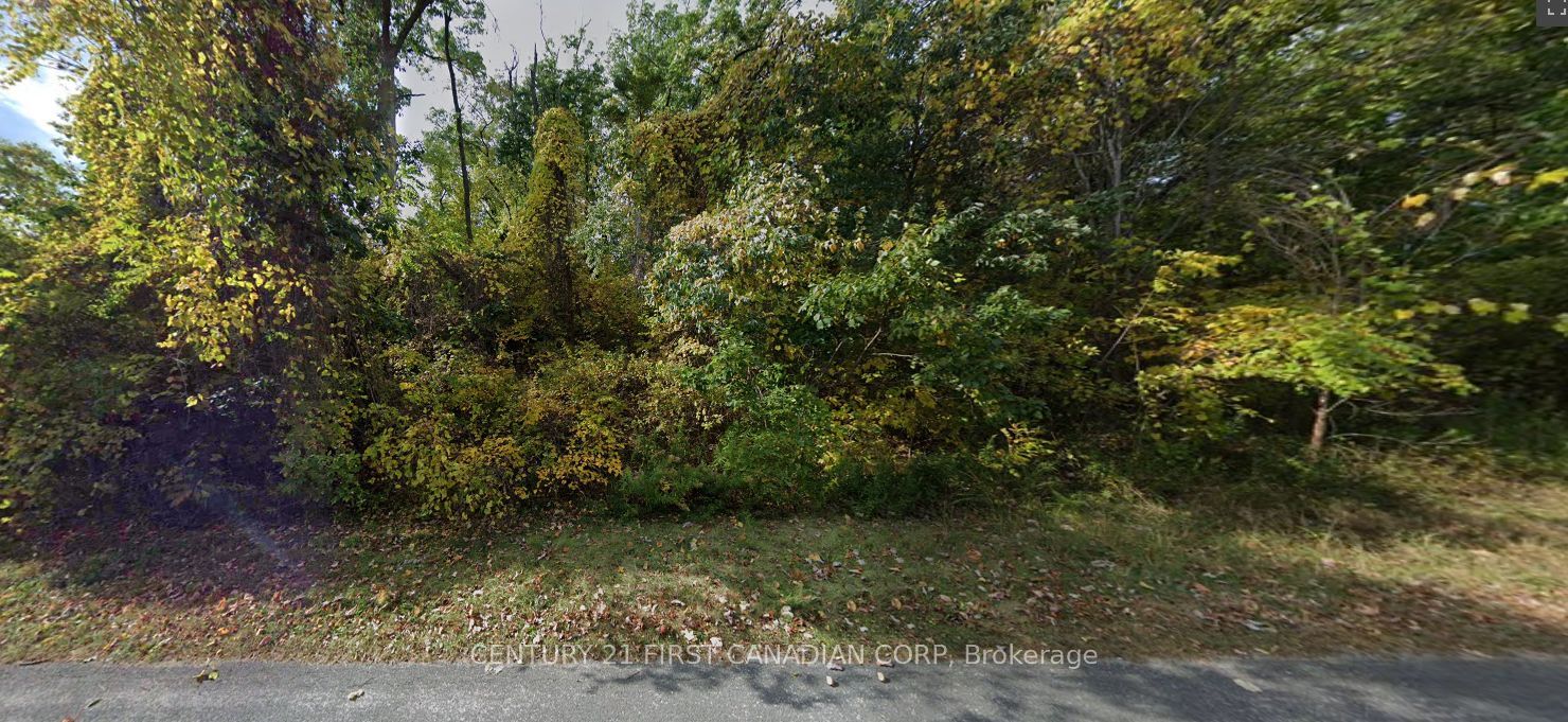 7619 Chester Trail Property Photo 2