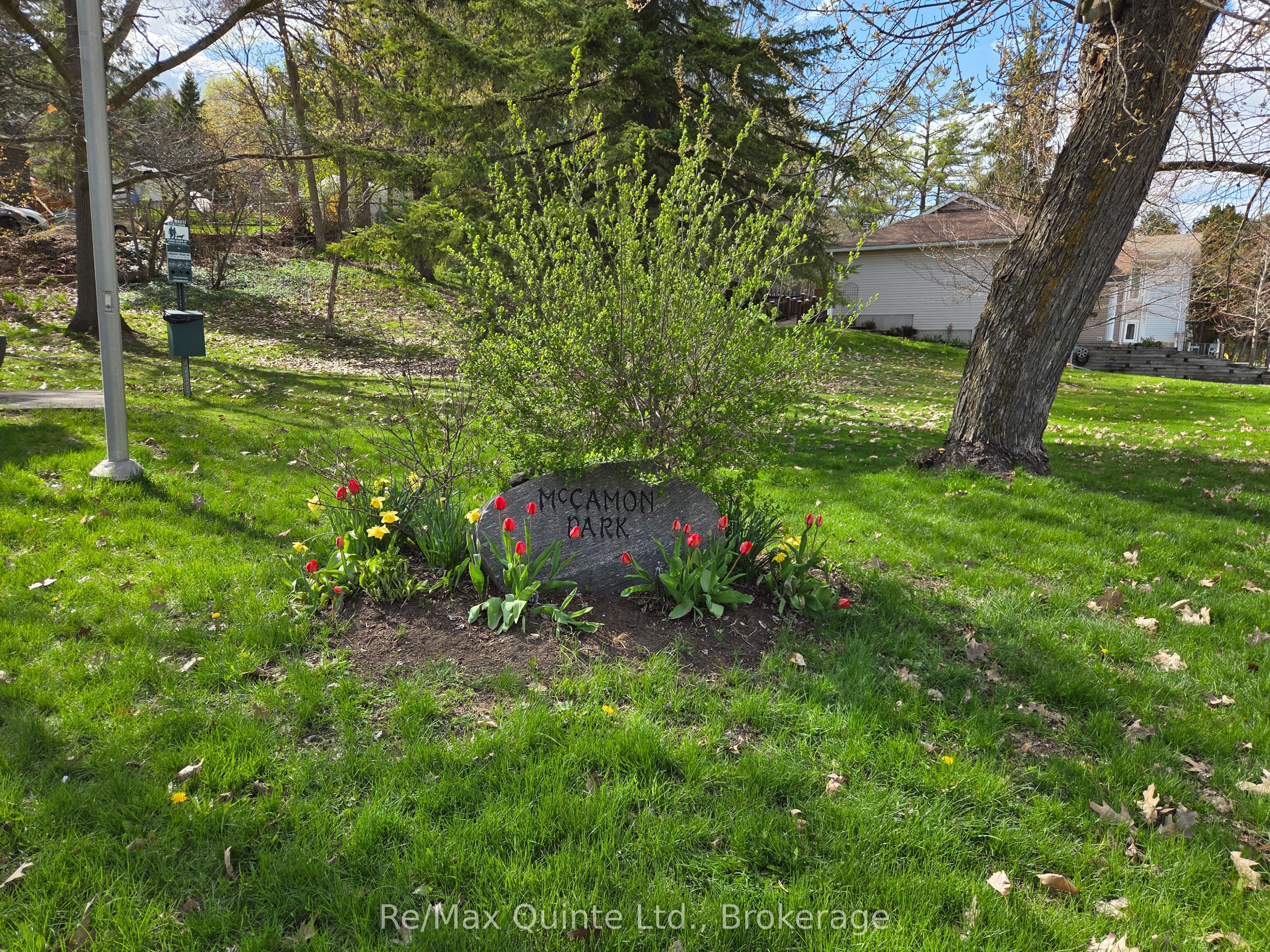 14 Mccamon Avenue Property Photo 24