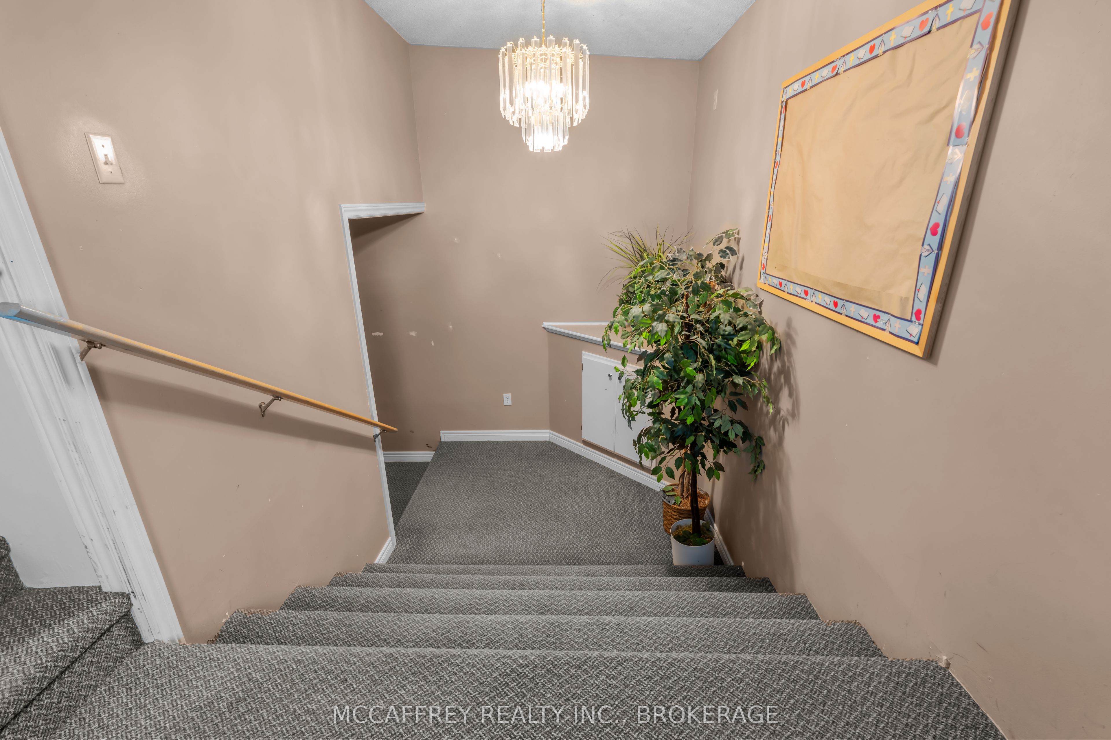 4 Neely Street Property Photo 21