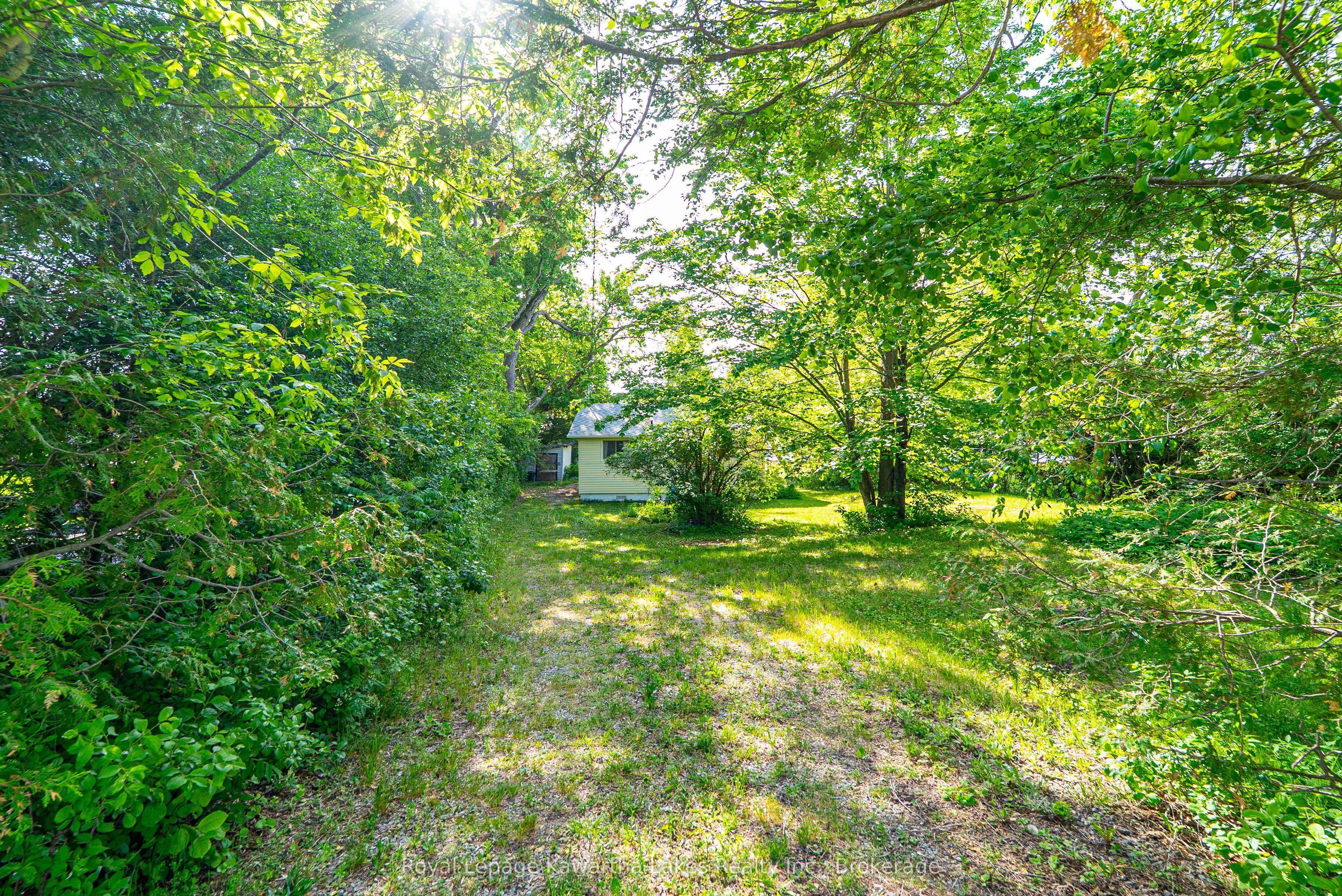 244 O'reilly Lane Property Photo 33