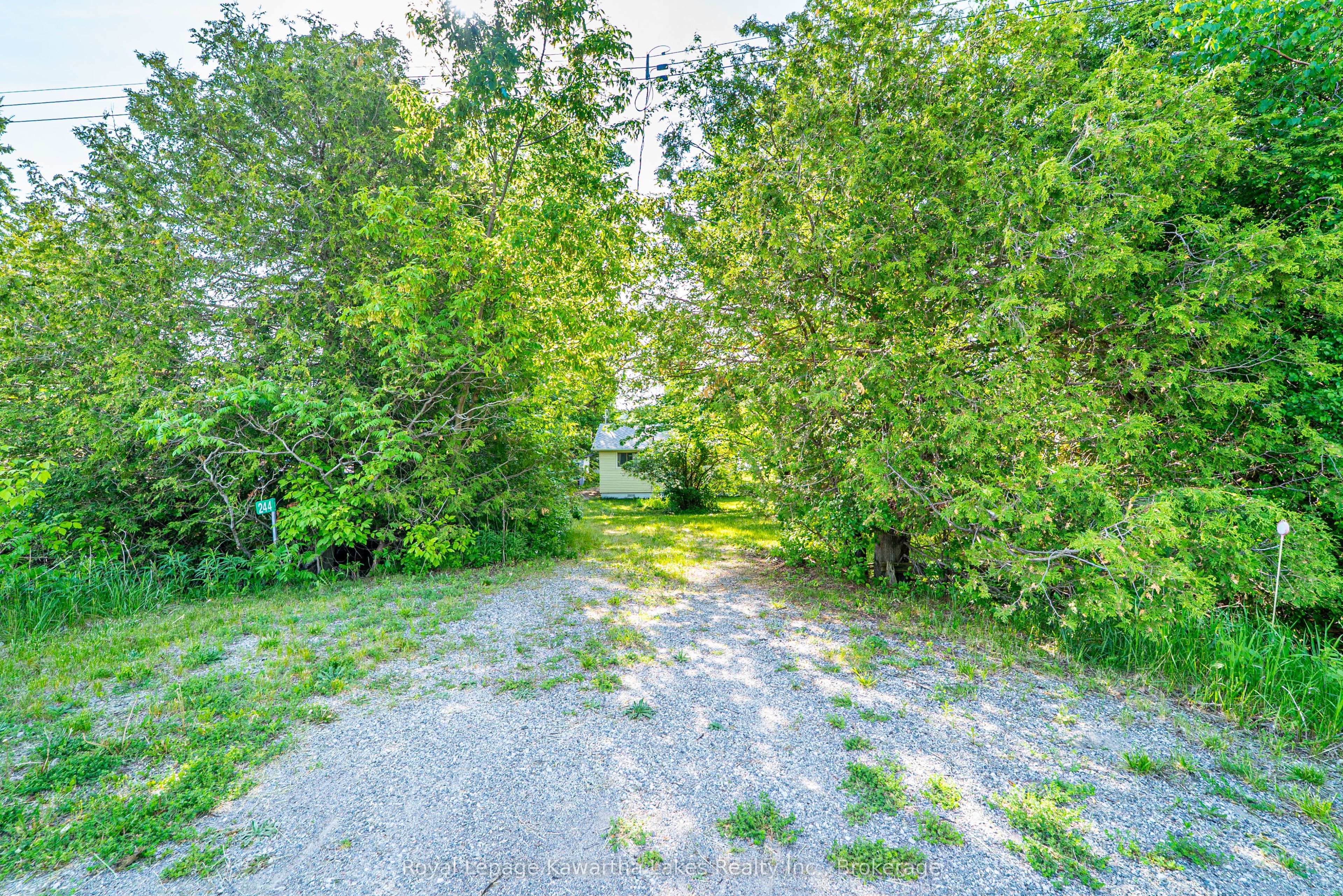 244 O'reilly Lane Property Photo 34