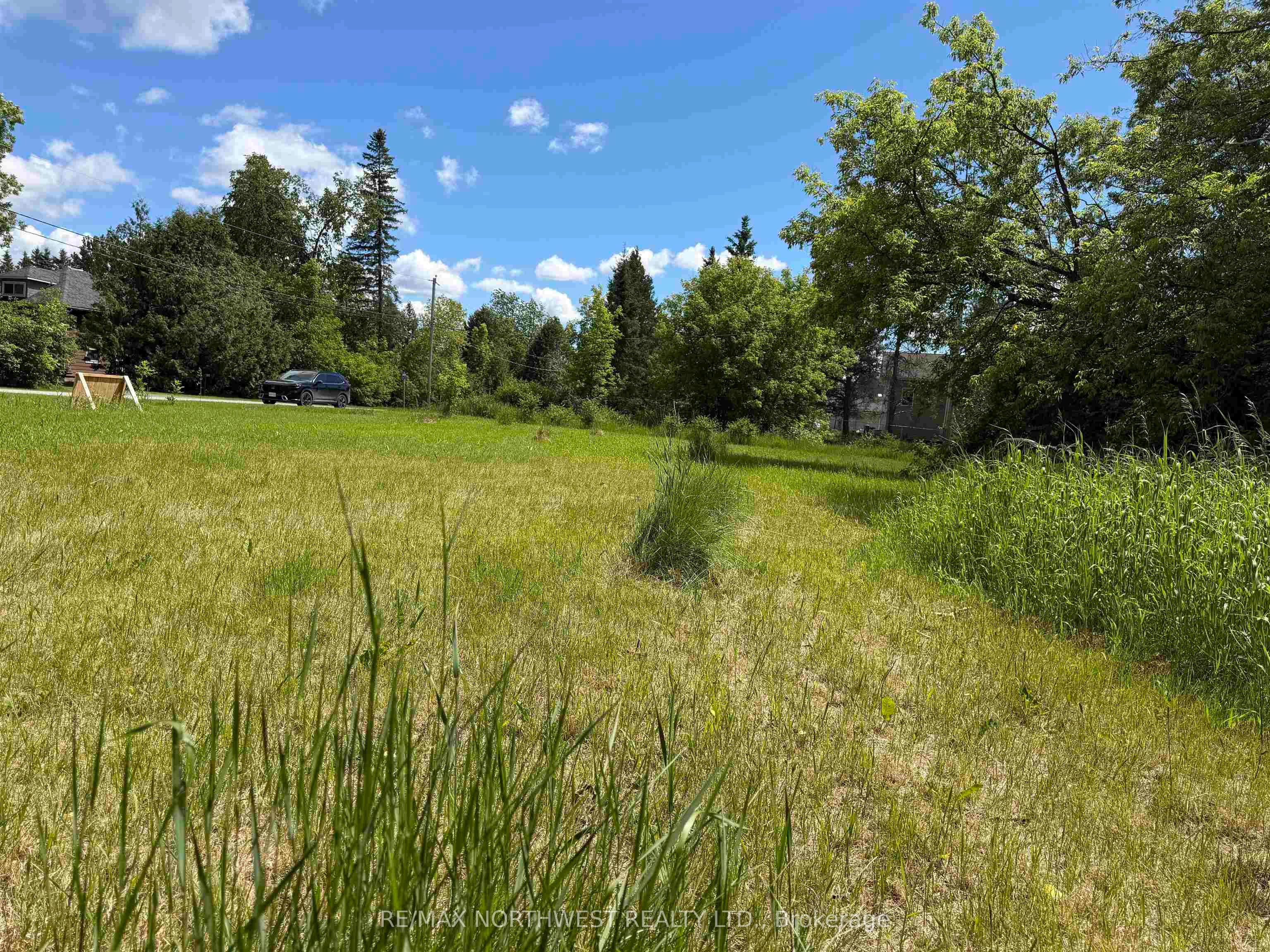 Queen Street Property Photo 10