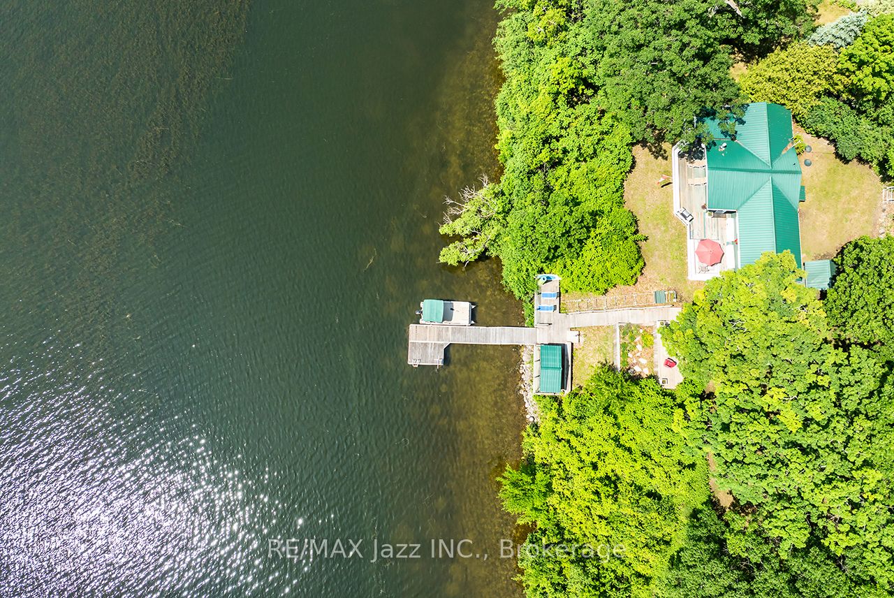 82 Cow Island Property Photo 8