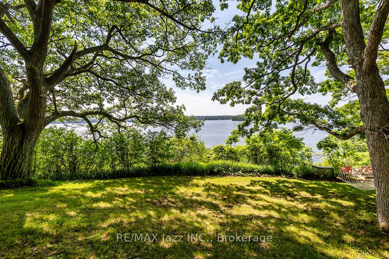 82 Cow Island Property Photo 19