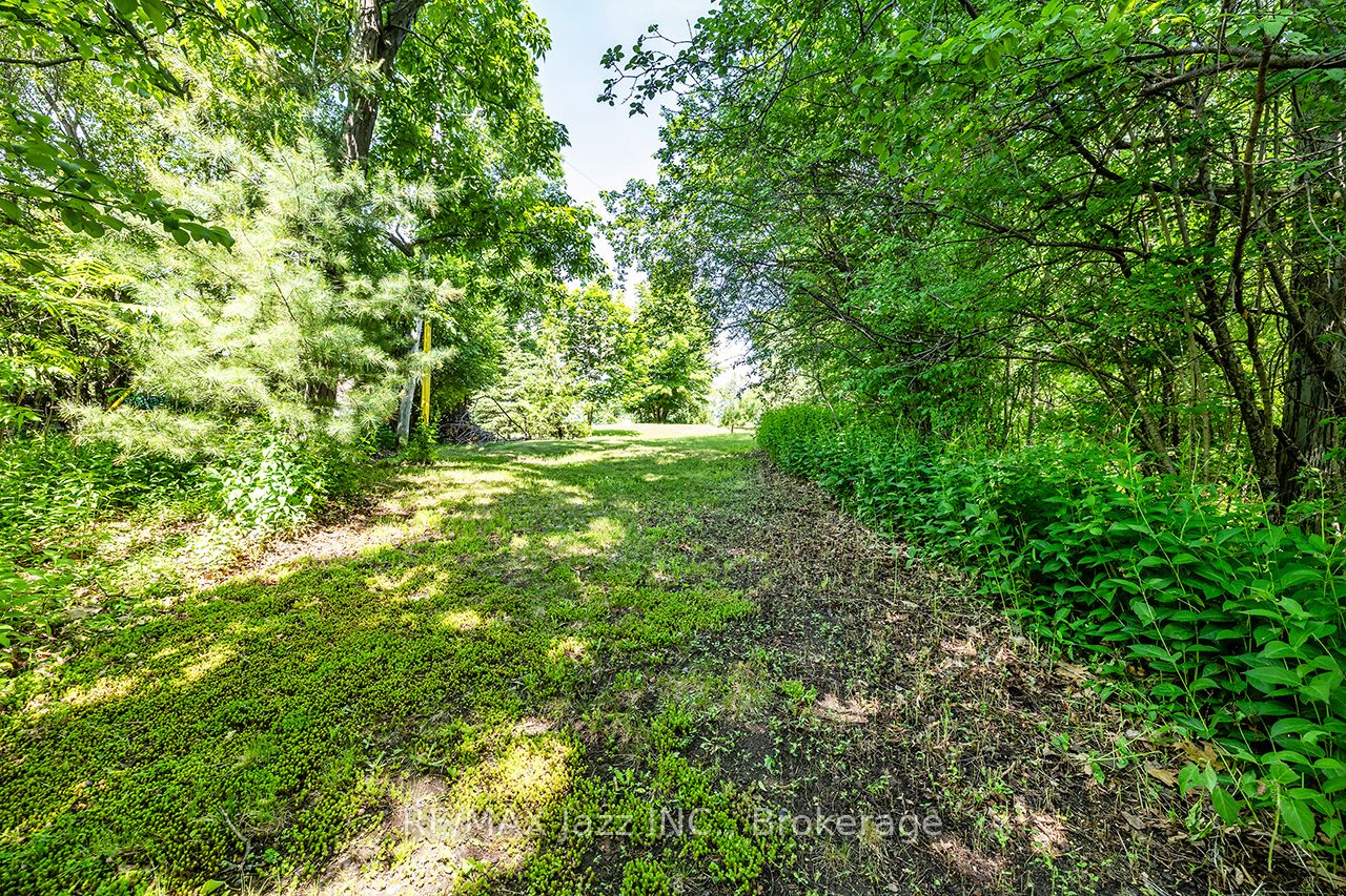 82 Cow Island Property Photo 25