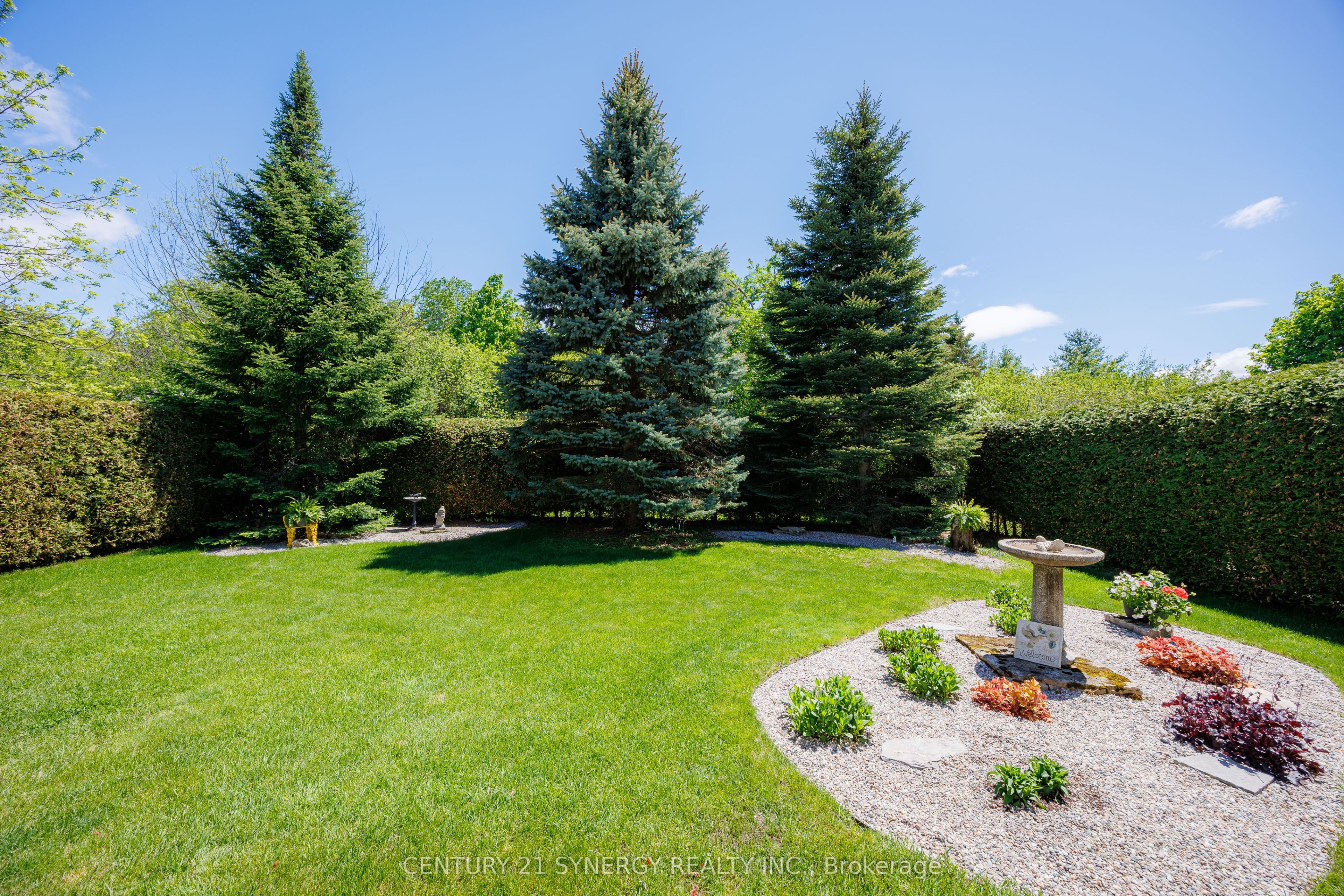 30 Morris Street Property Photo 31