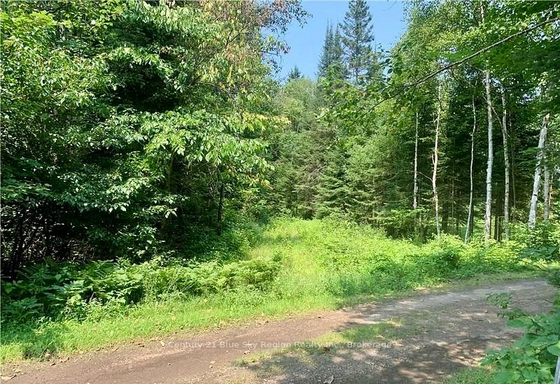 324 Proudfoot Road N Property Photo 4