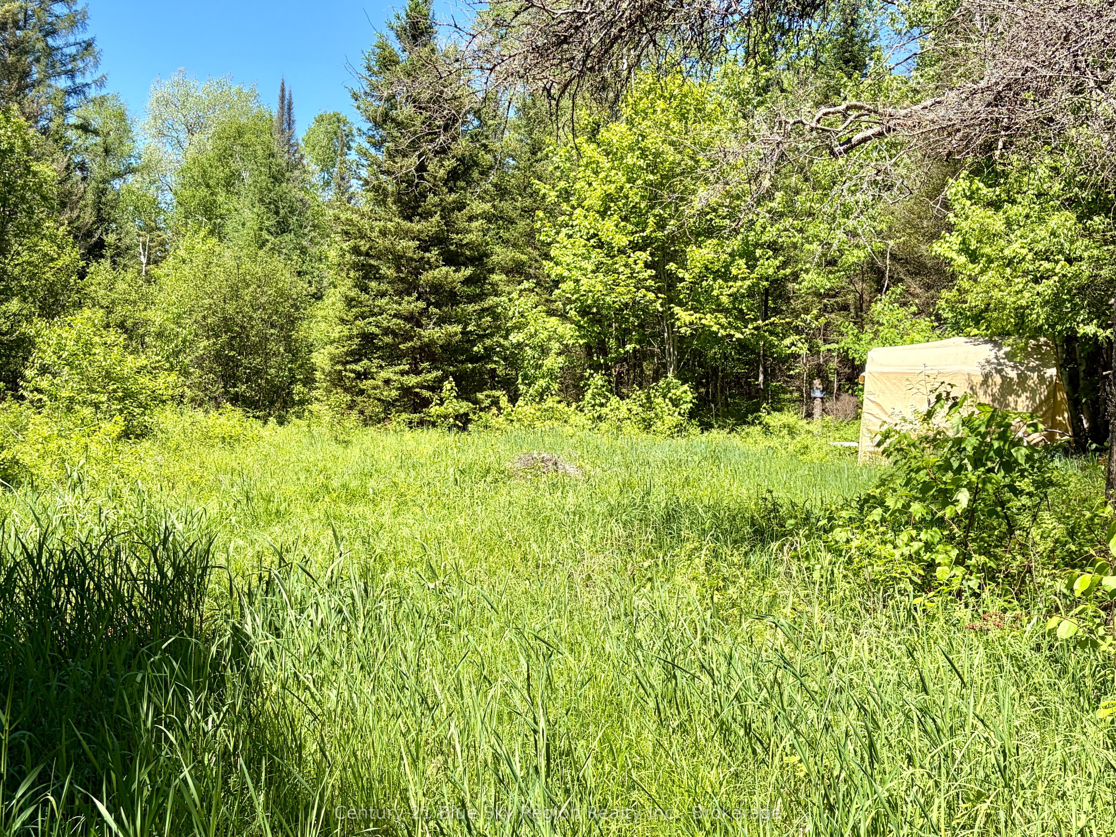 324 Proudfoot Road N Property Photo 22