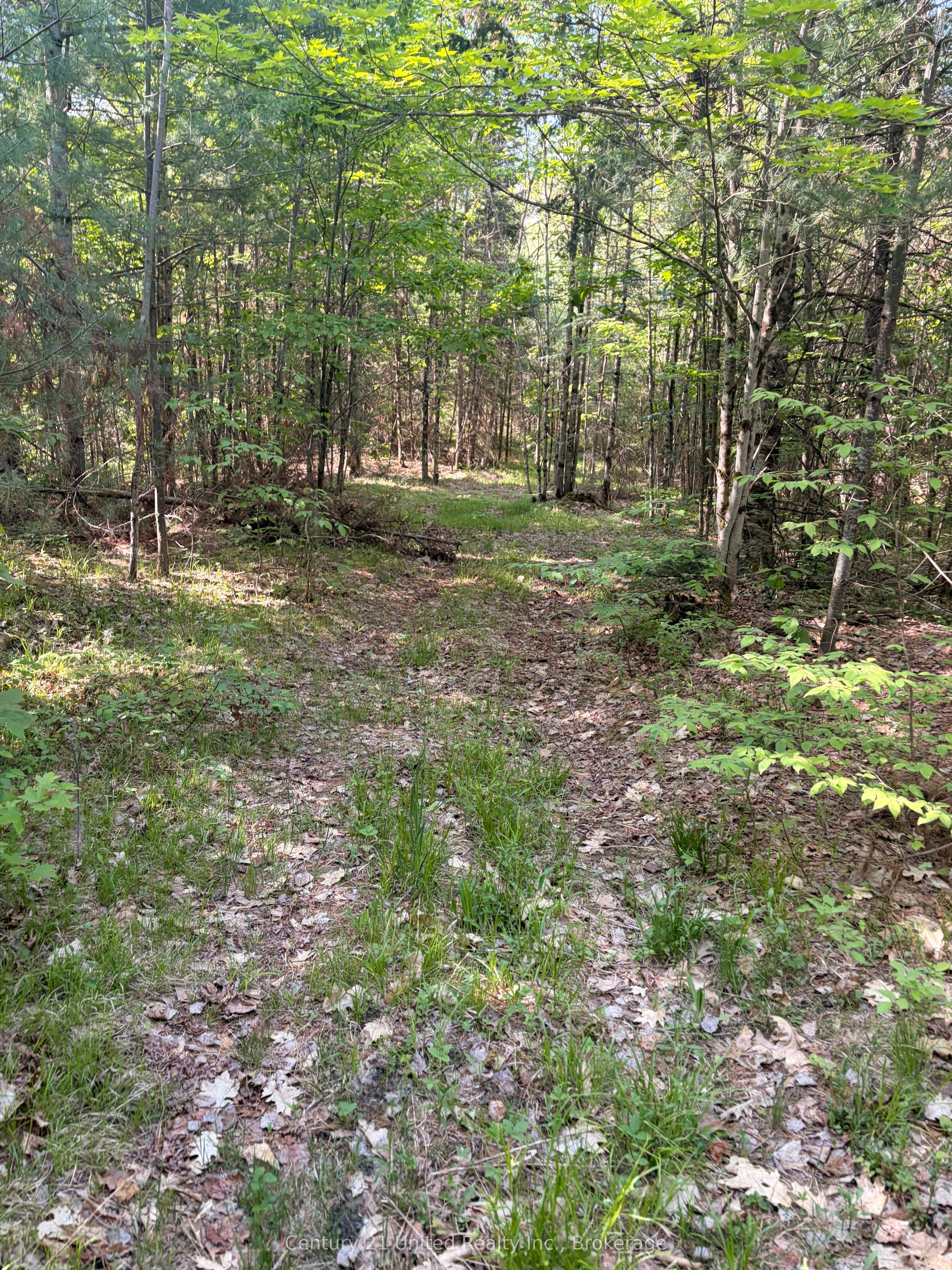 254 County Rd 620 Property Photo 25