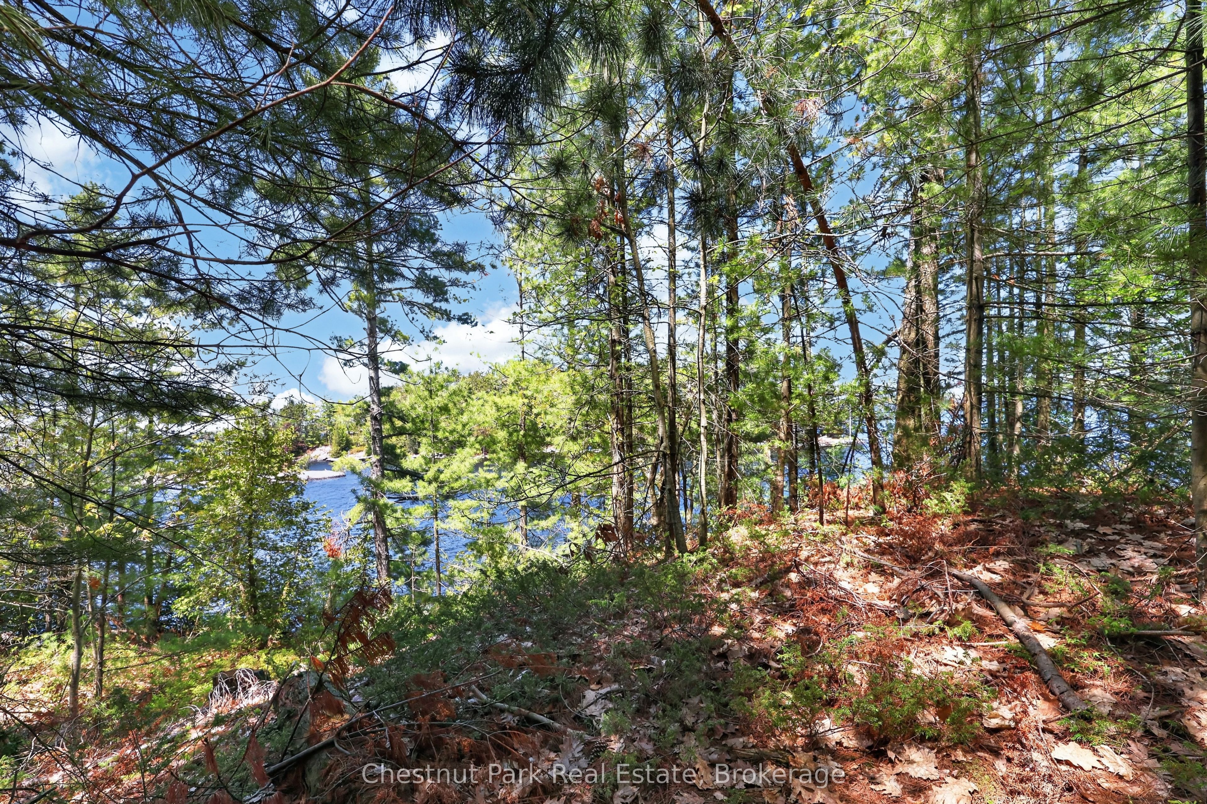 1 Island 20ml Island Property Photo 8